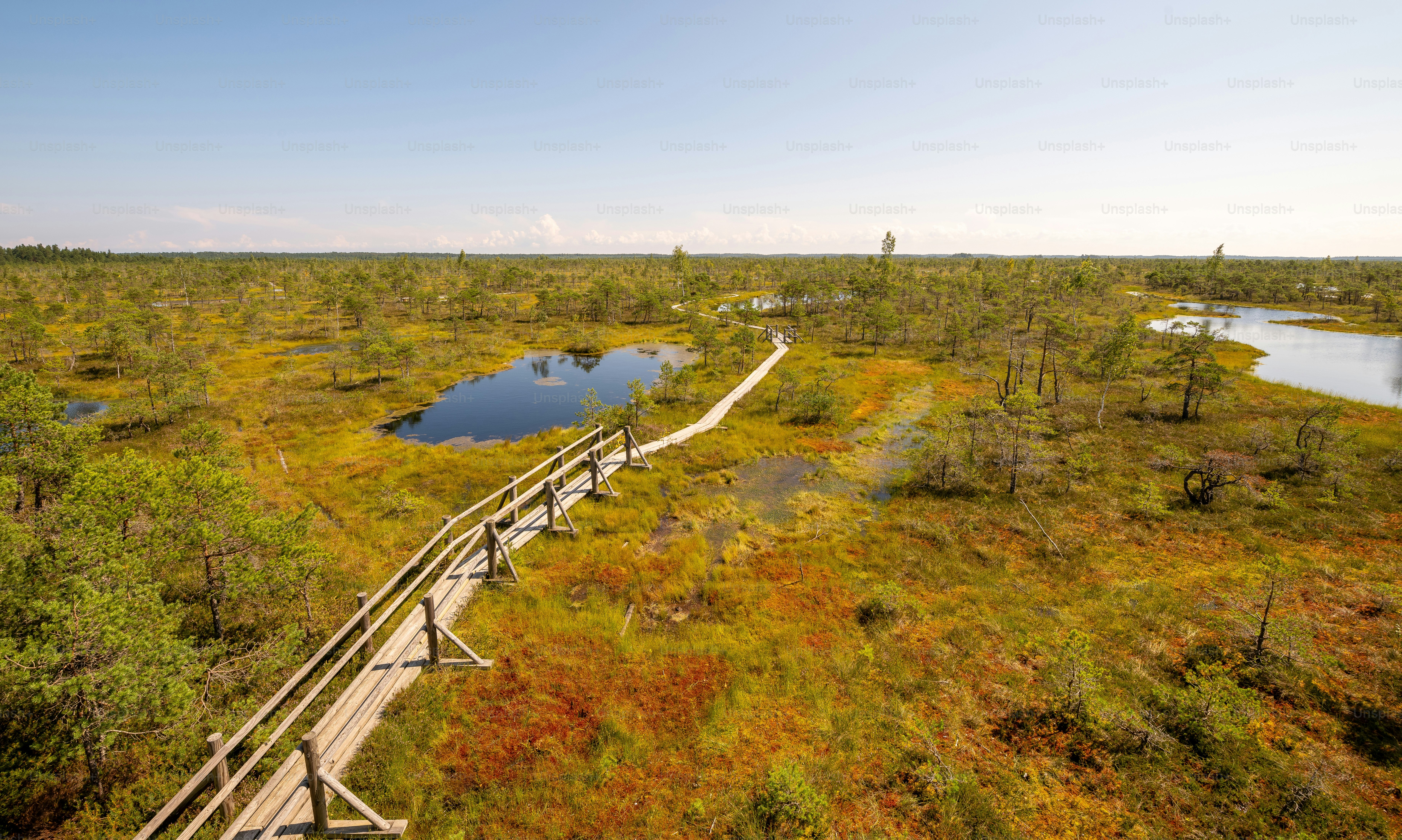 An aerial view of a boardwalk in the middle of a marsh photo – Outdoors ...