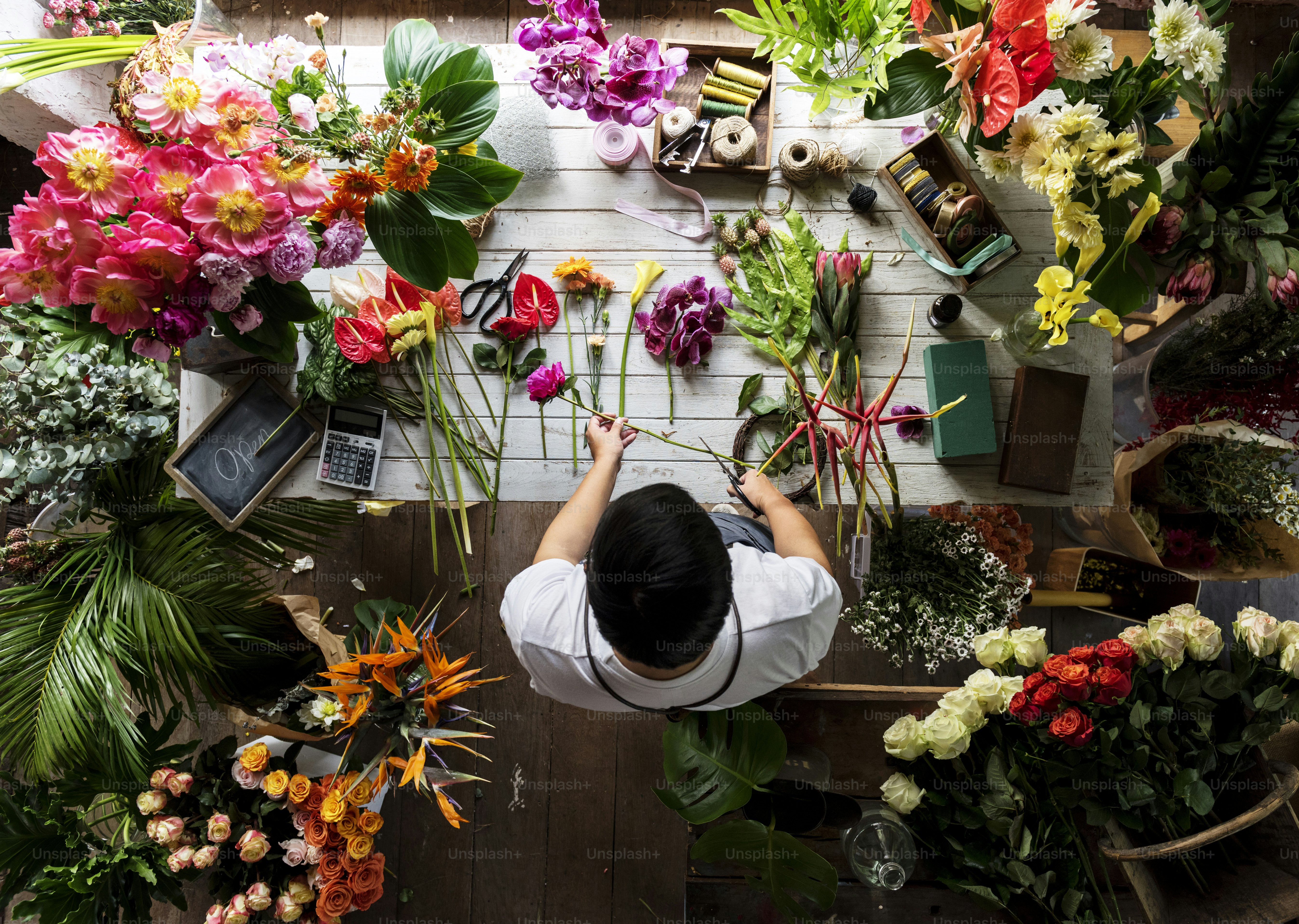  Florist organizing stems during flower storage before an event