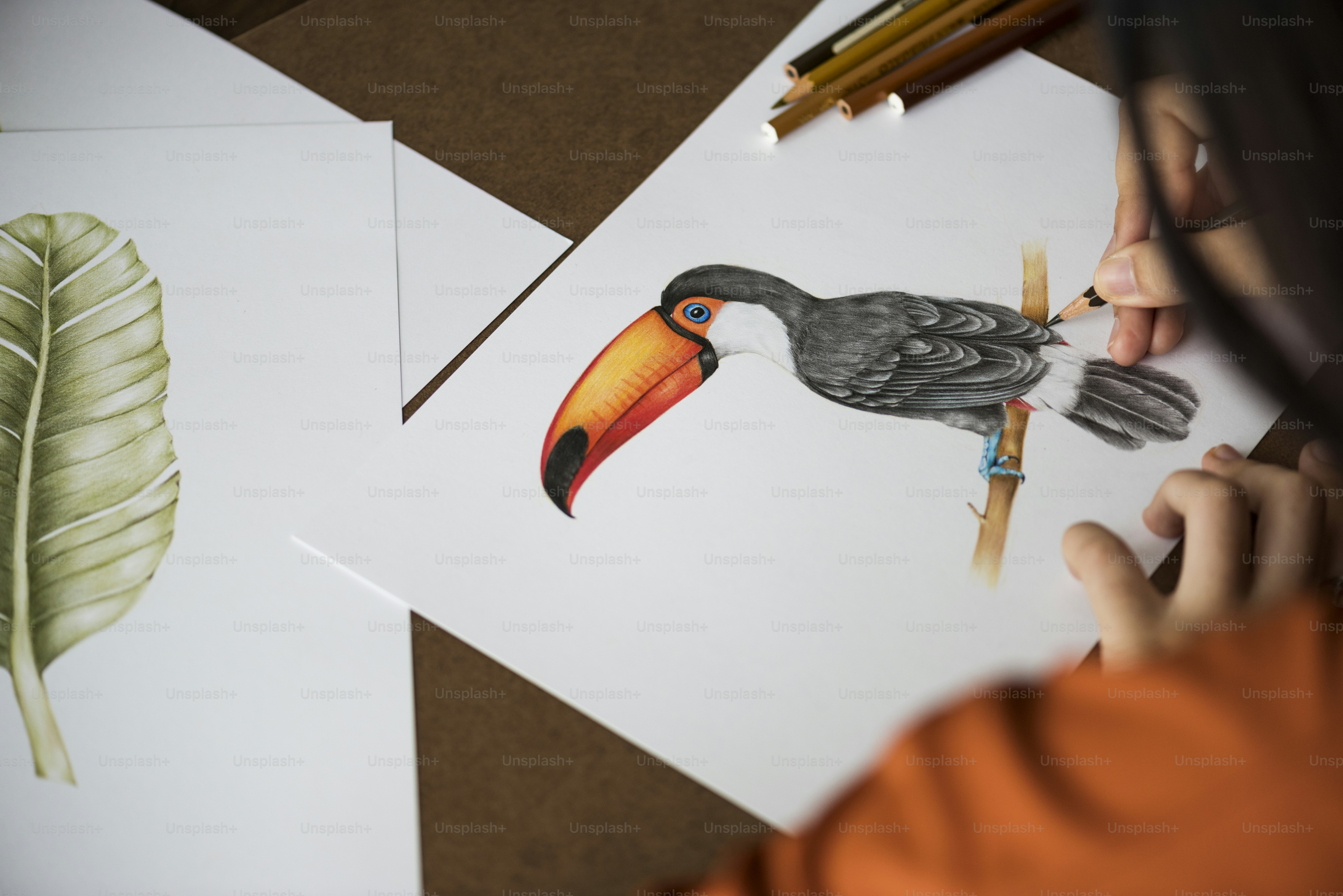 Asian woman is working on her hand drawing artwork