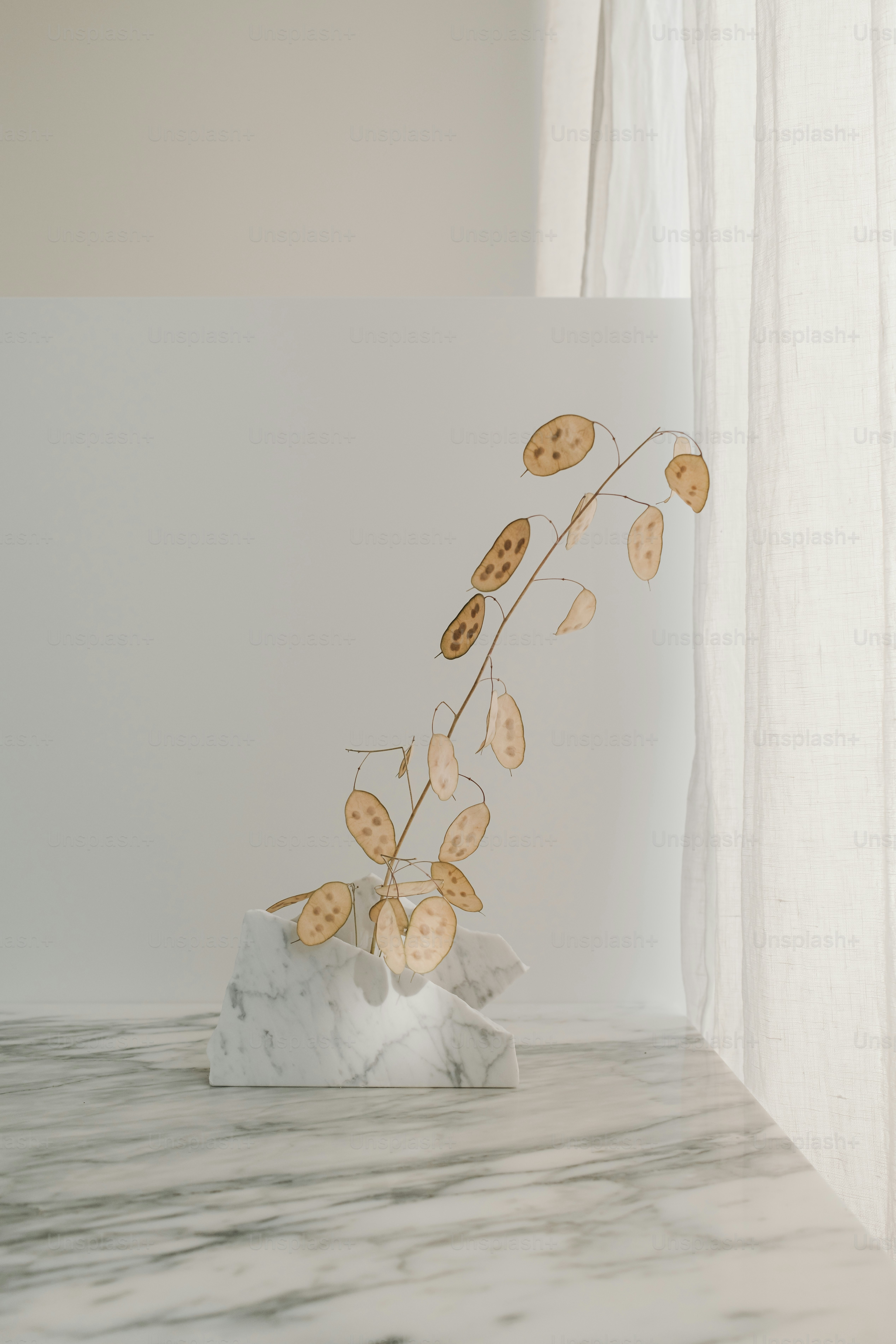 A vase with a plant in it sitting on a table