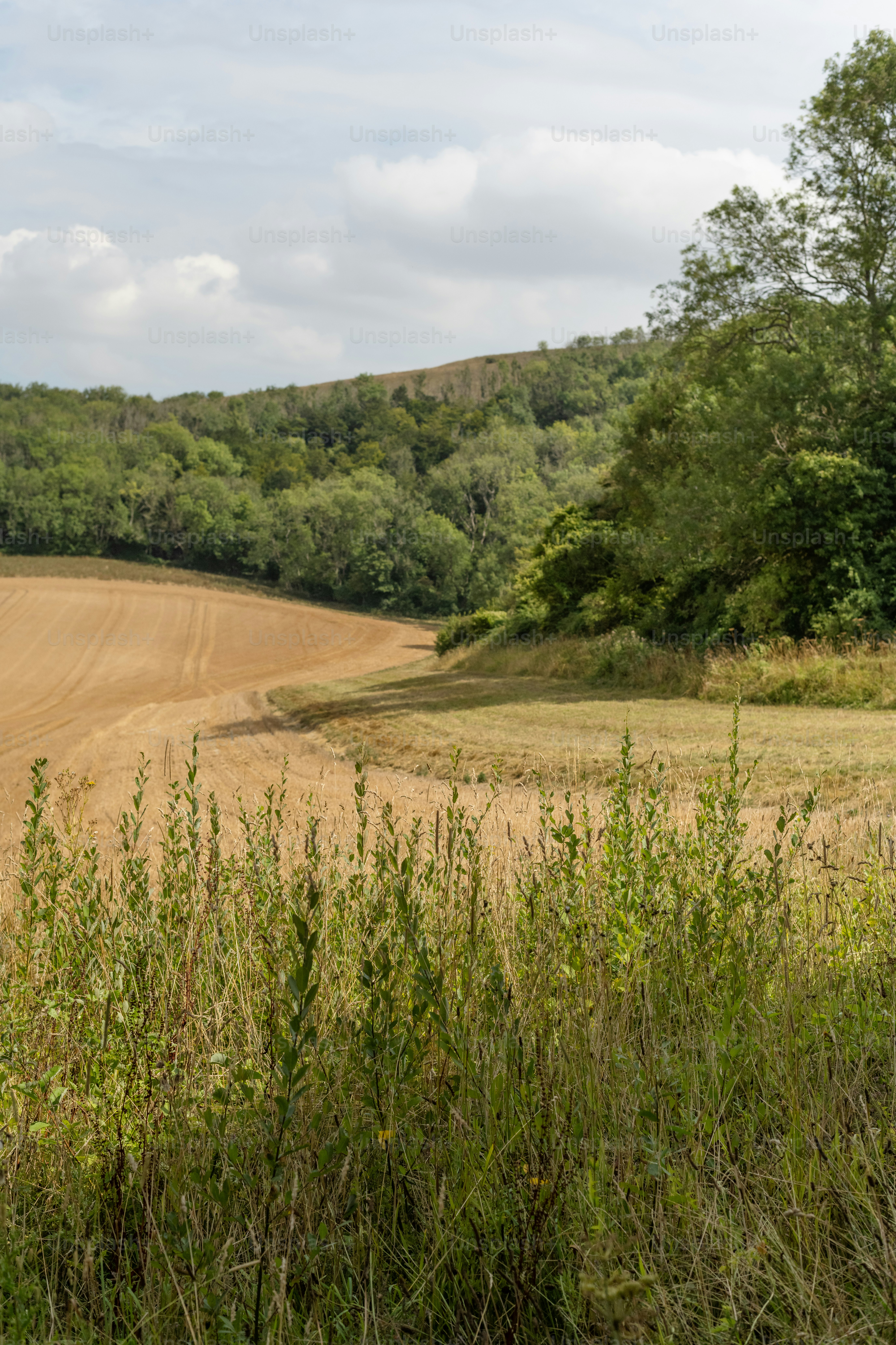 Springfield Lakes, Queensland