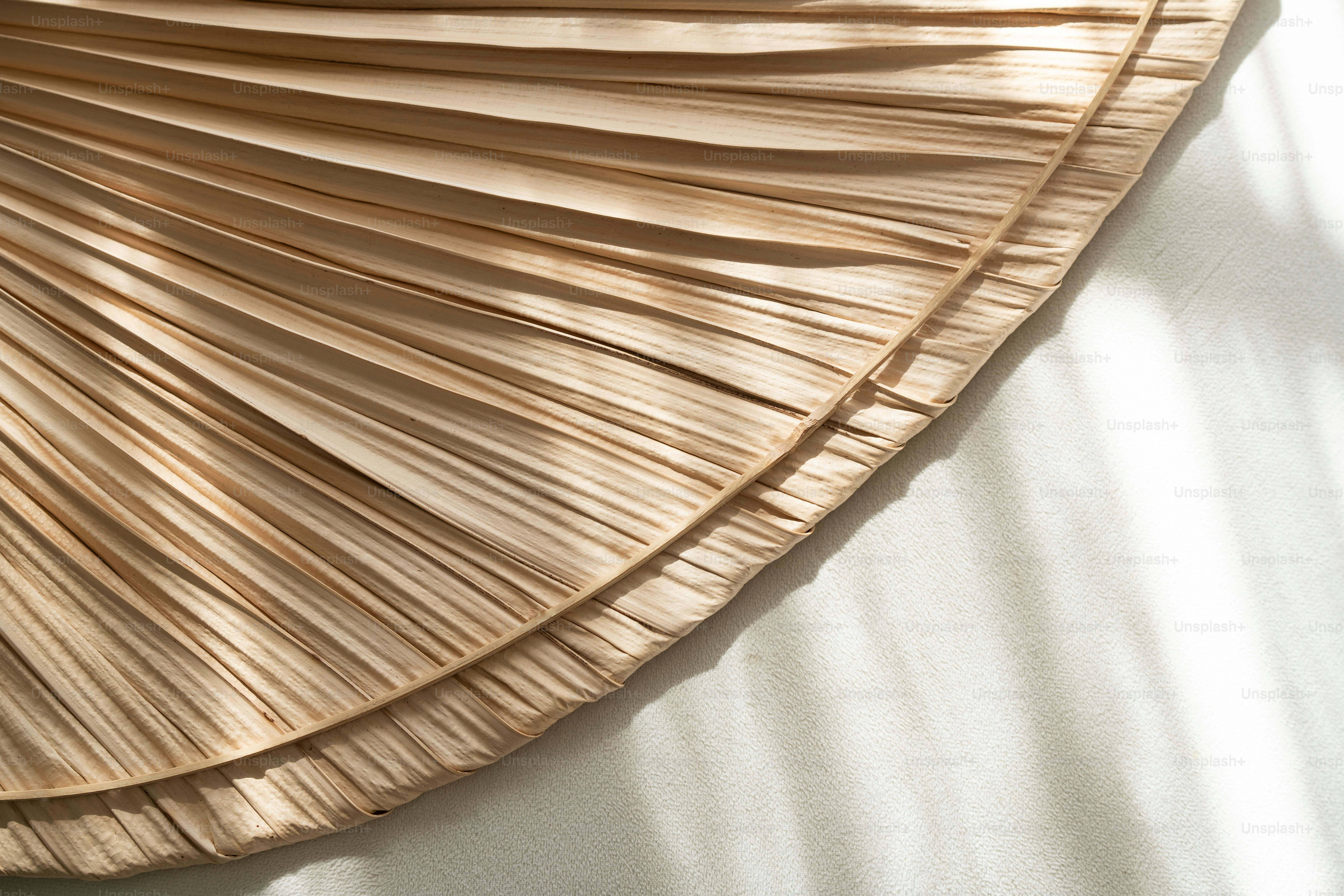 Un primer plano de un objeto en forma de abanico en una cama