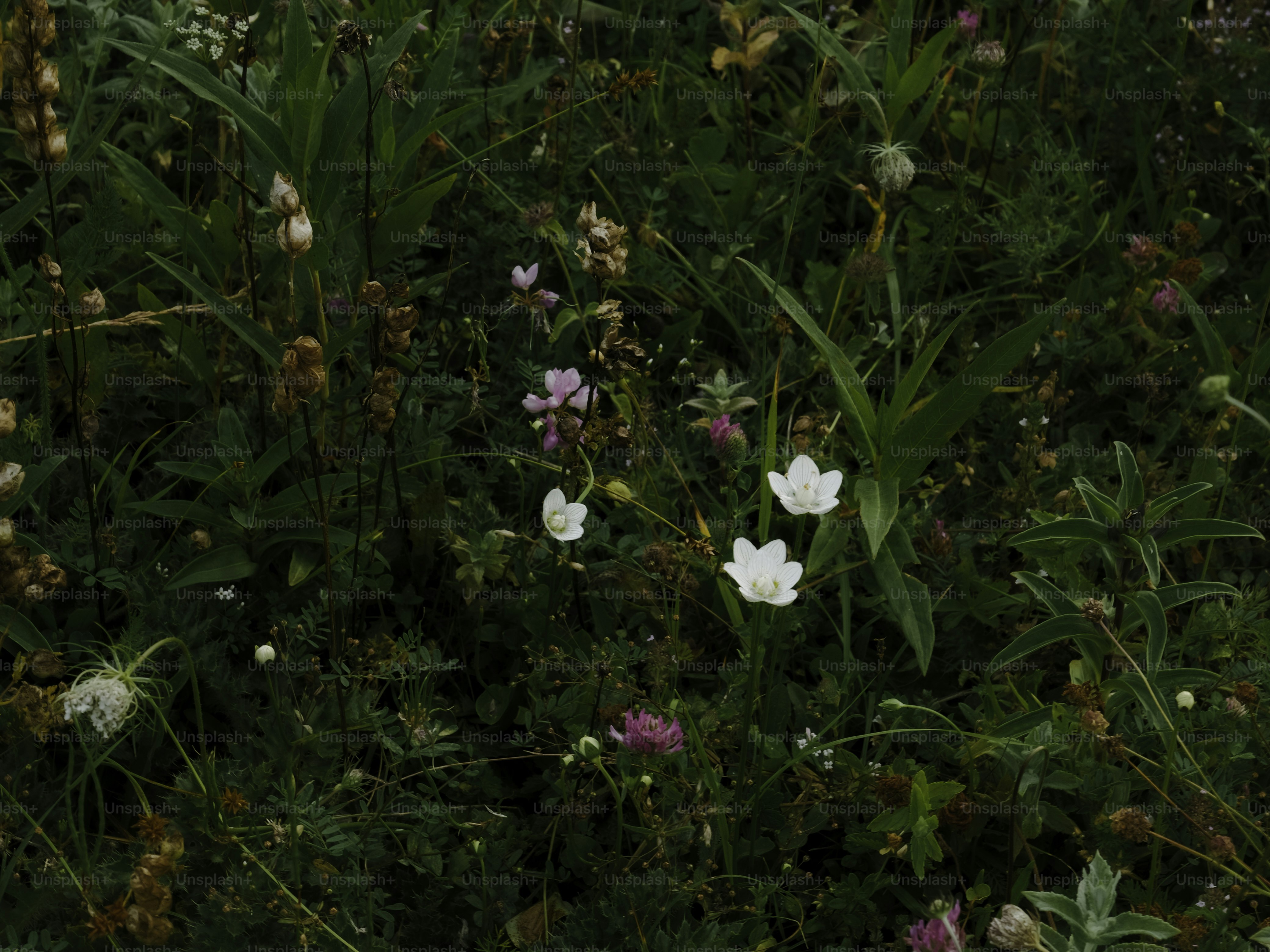 Ein Blumenstrauß, der im Gras liegt