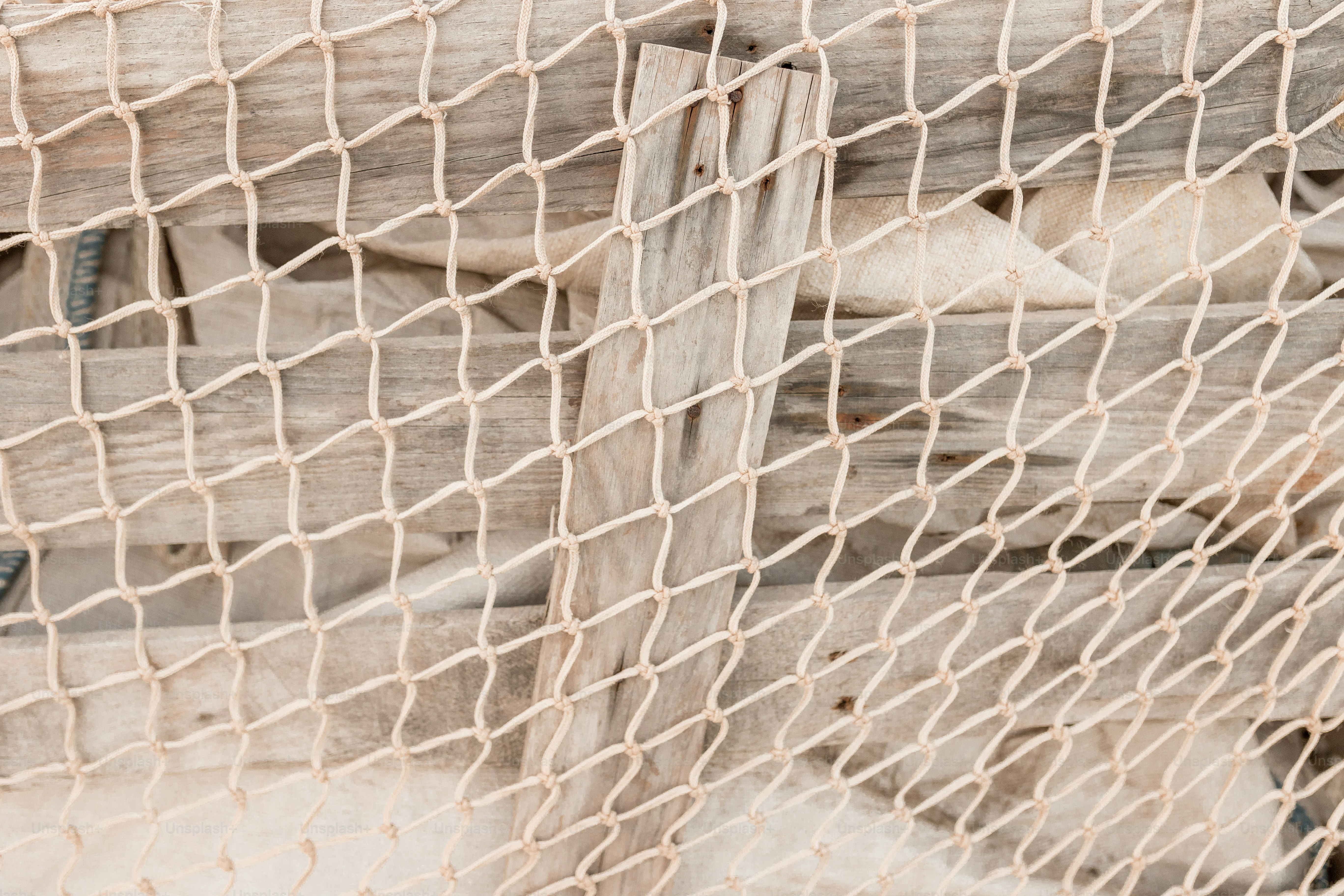 A close up of a bird in a net