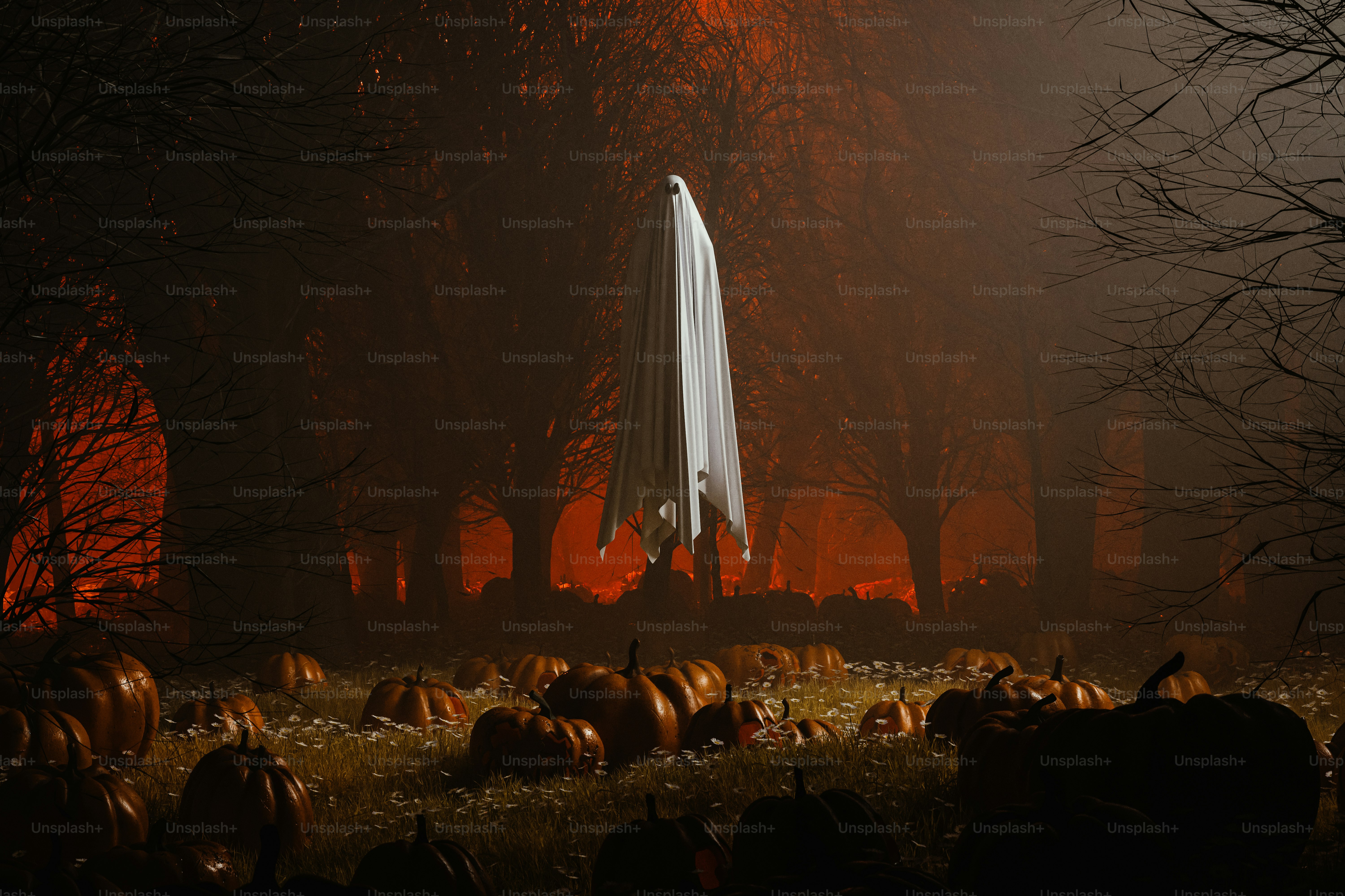 Un grupo de calabazas sentadas en un campo por la noche