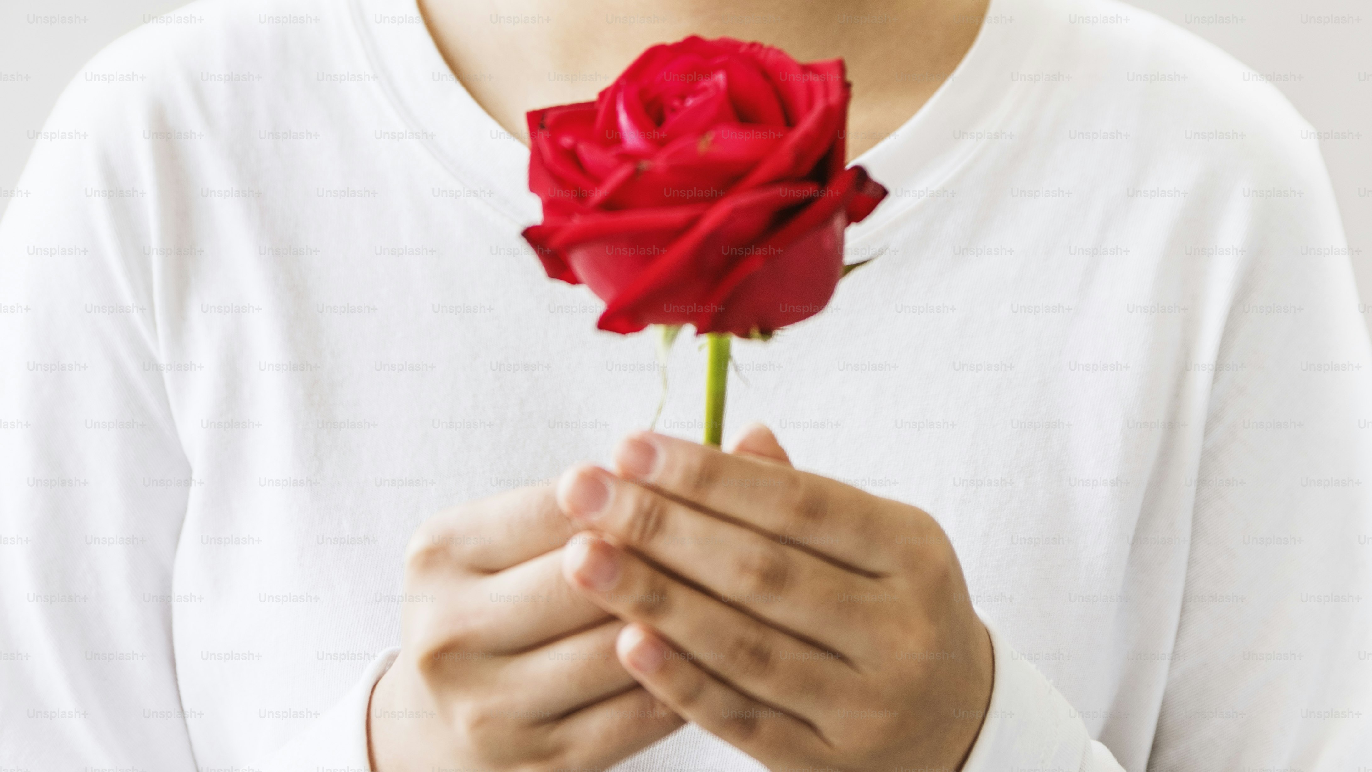 Asiatisches Mädchen Blume Frische Entspannung Rose Konzept