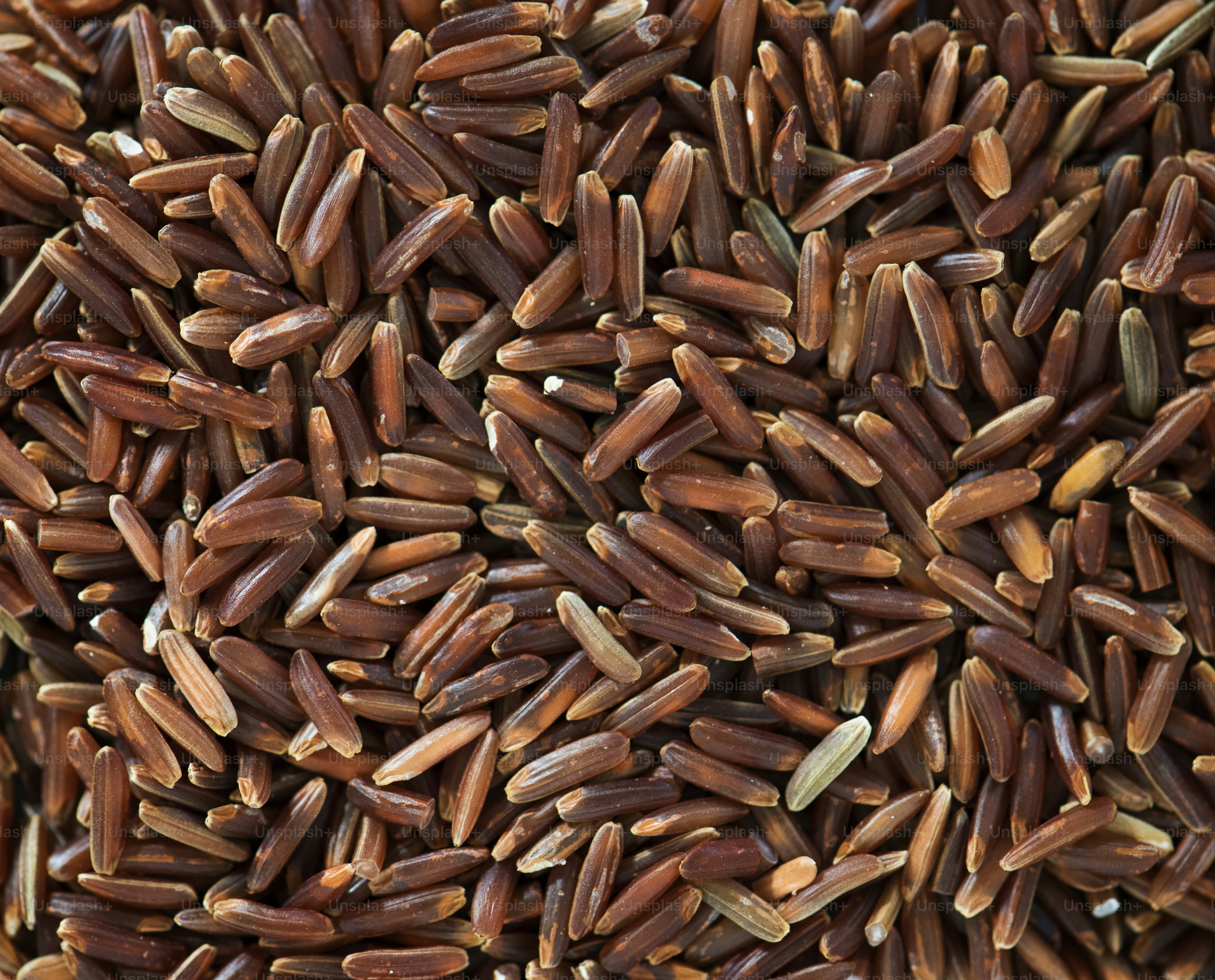 Closeup of brown rice texture photo – Food Image on Unsplash