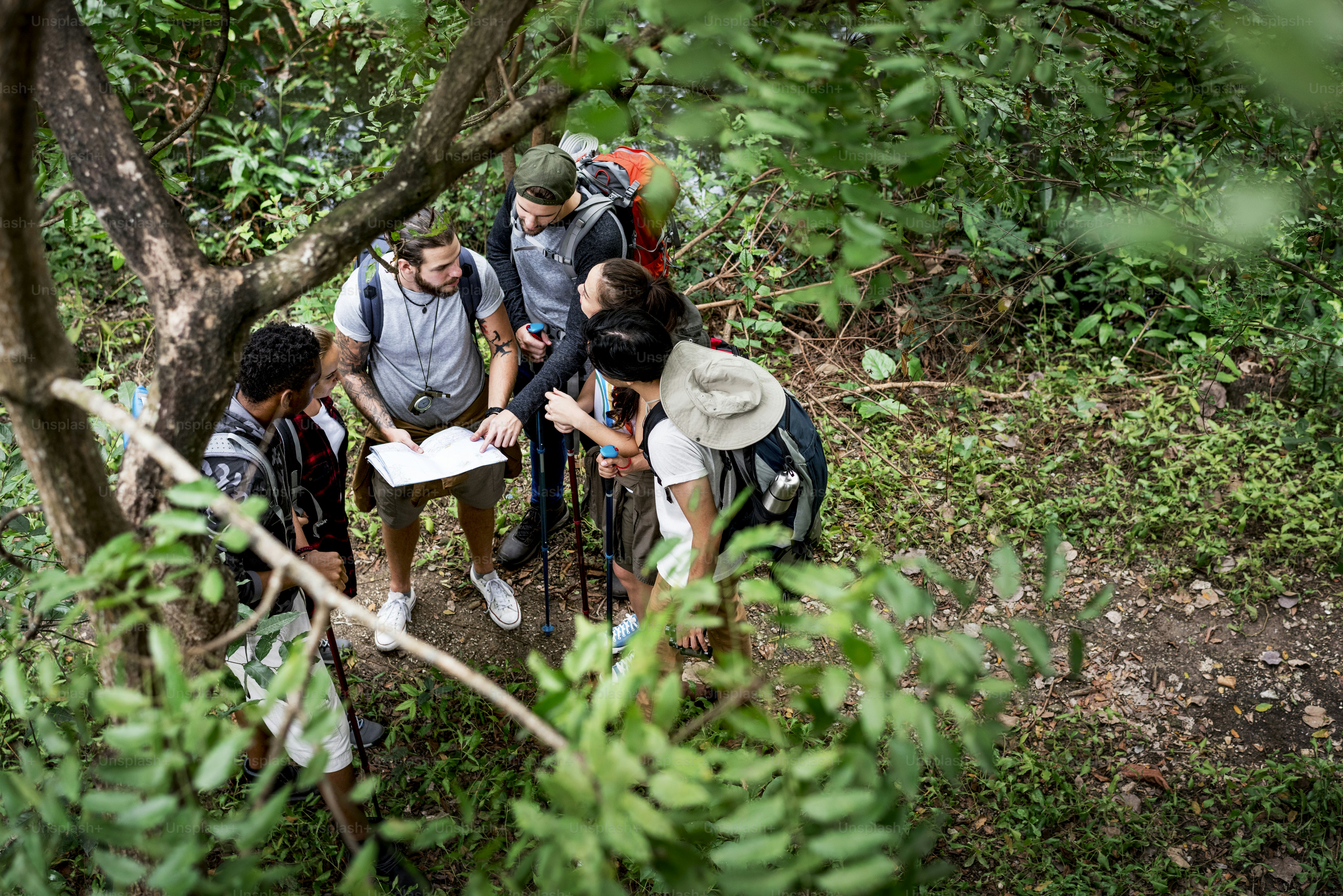 Trekking together in a forest photo Forest Image on Unsplash