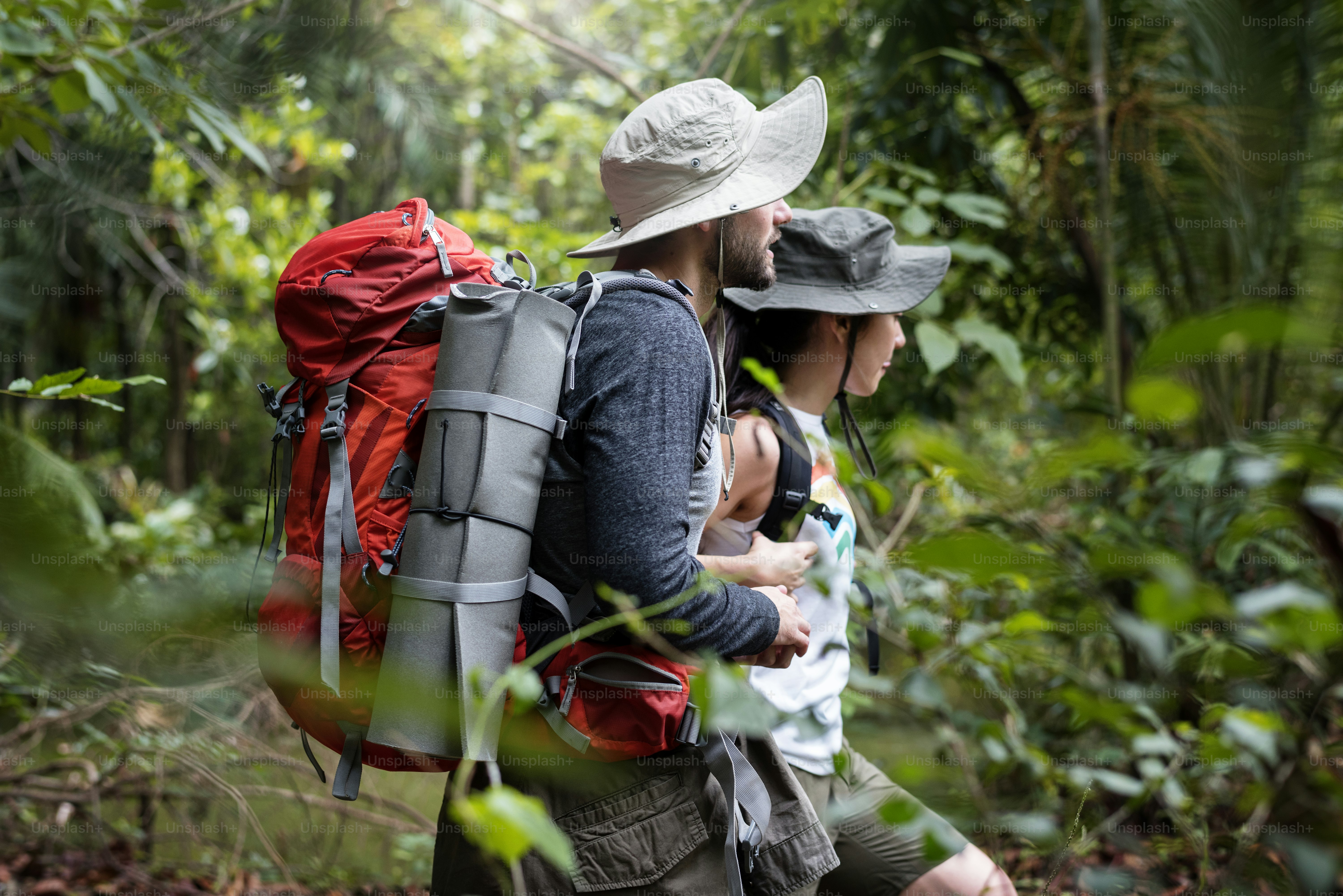 Trekking in a forest photo – Forest Image on Unsplash
