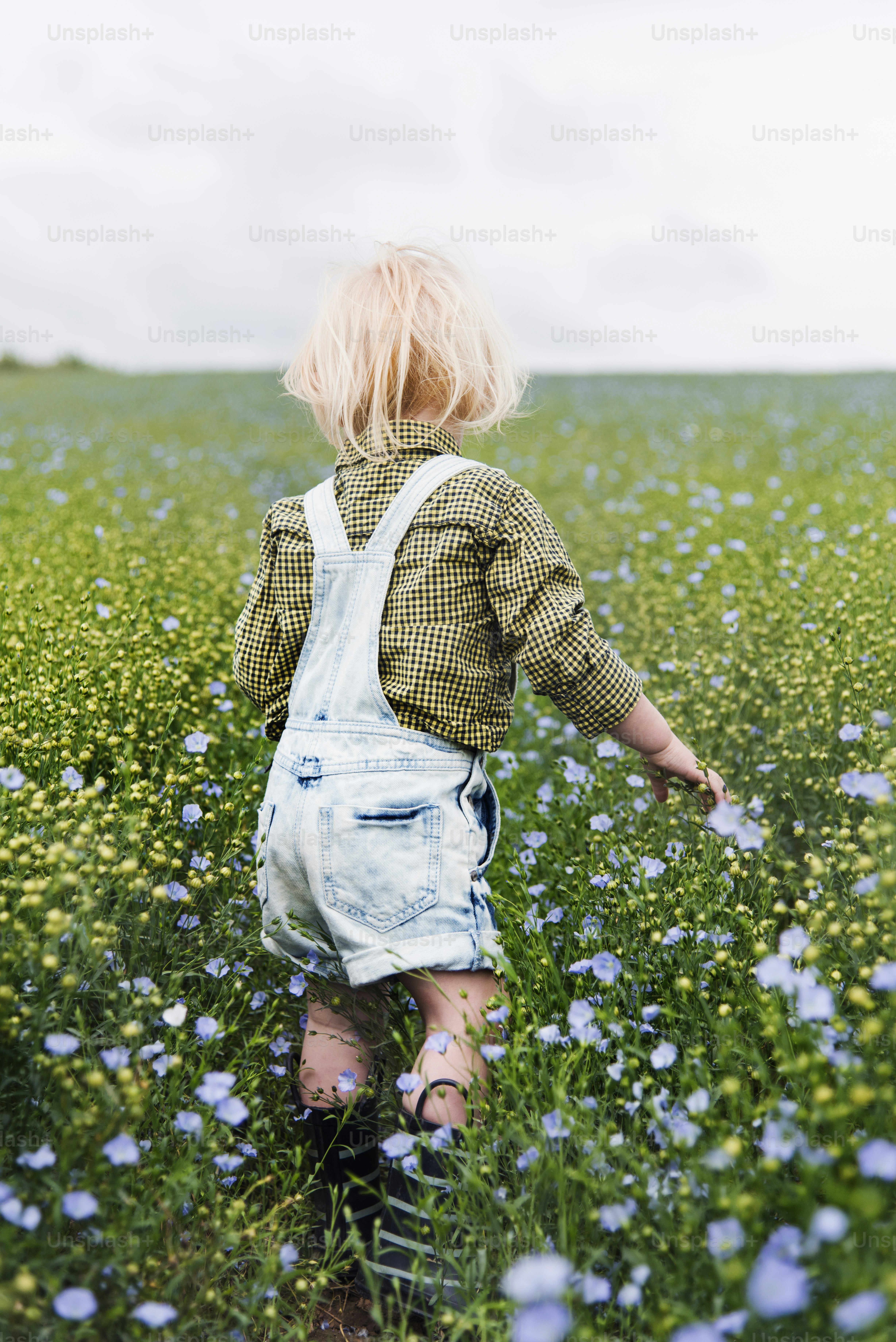 Cultivate Garden Nature Concept de croissance saisonnière