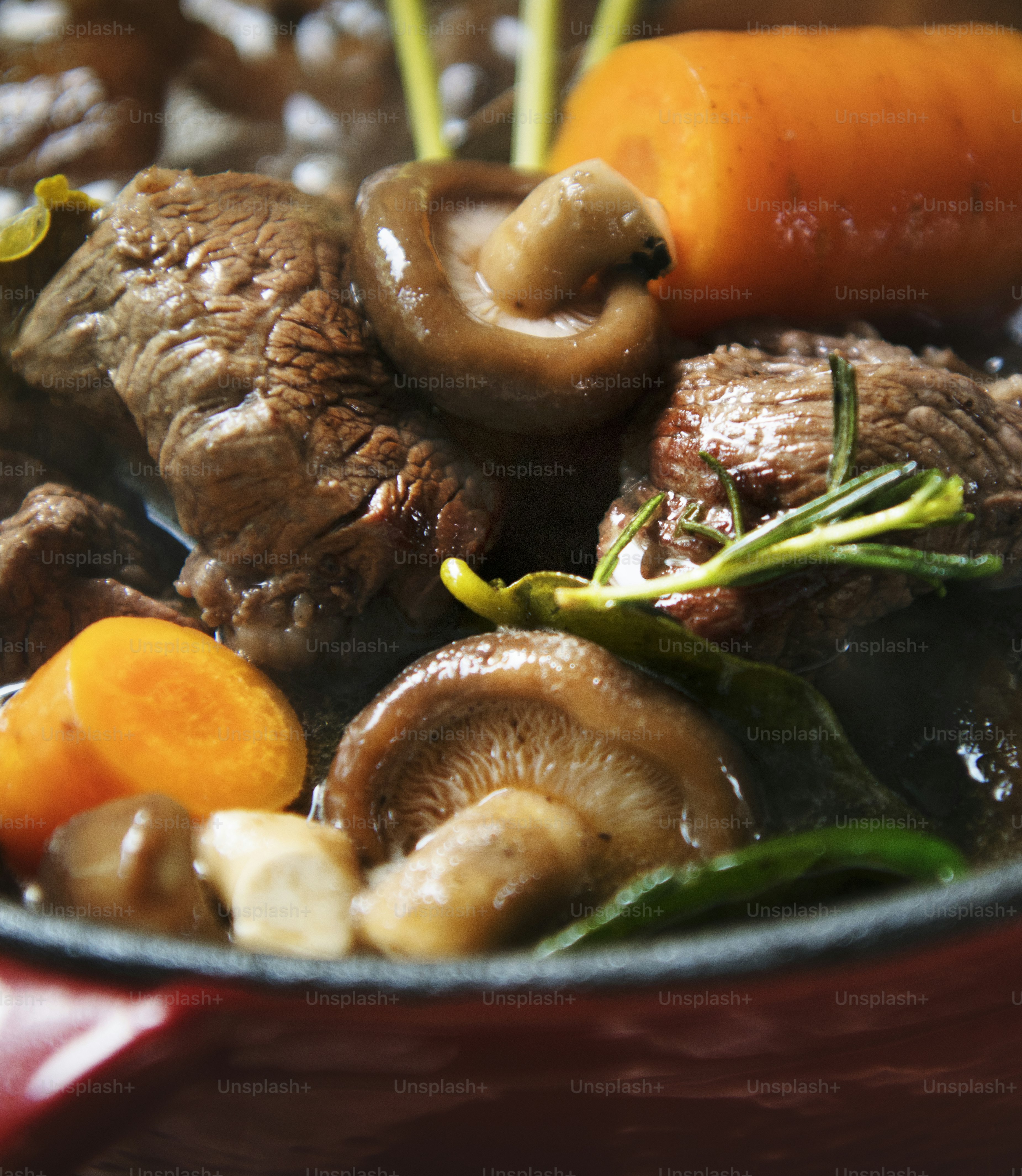 Ide resep fotografi makanan rebusan daging sapi buatan sendiri