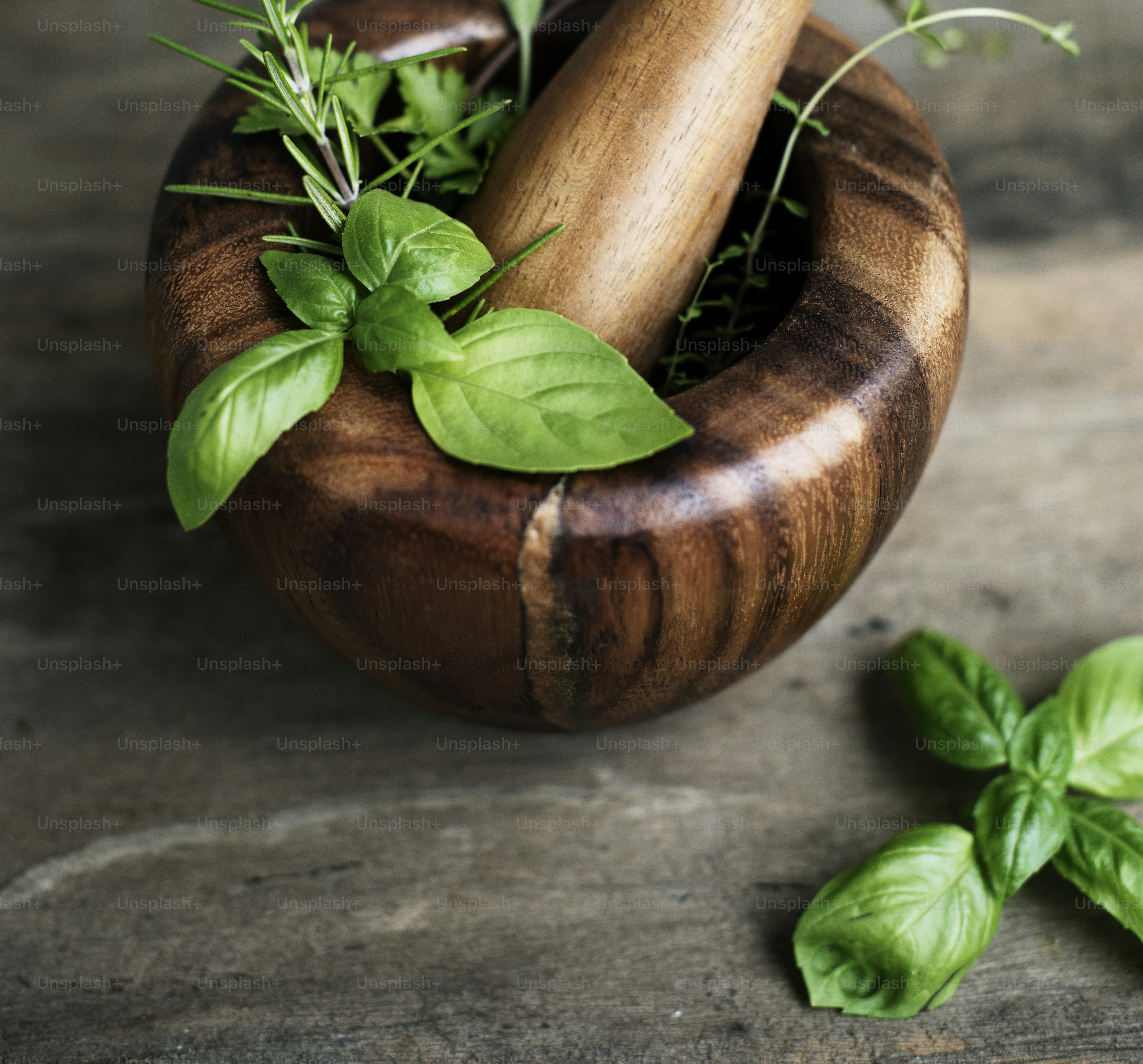 Plant Medicine
