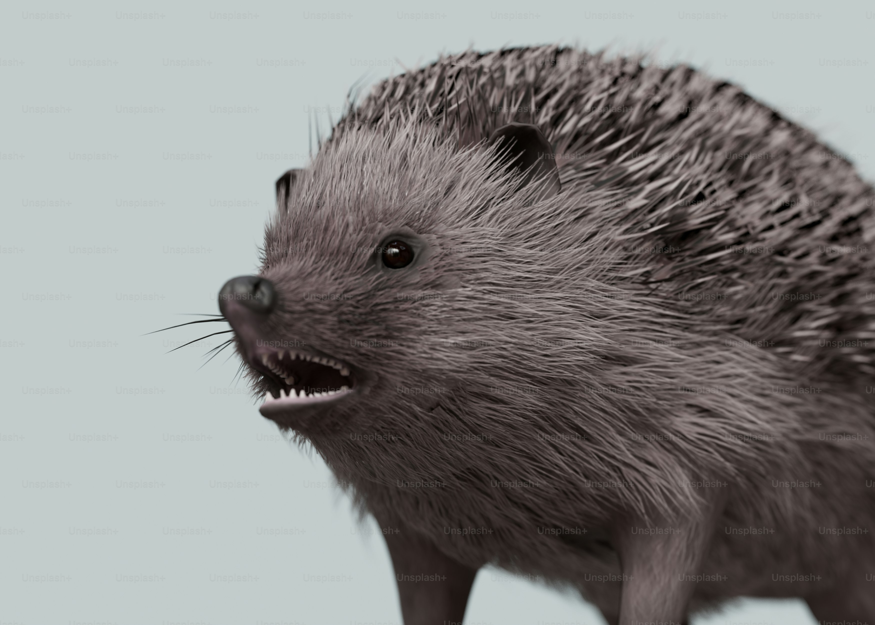 Un porc-épic avec la bouche ouverte et les dents grandes ouvertes