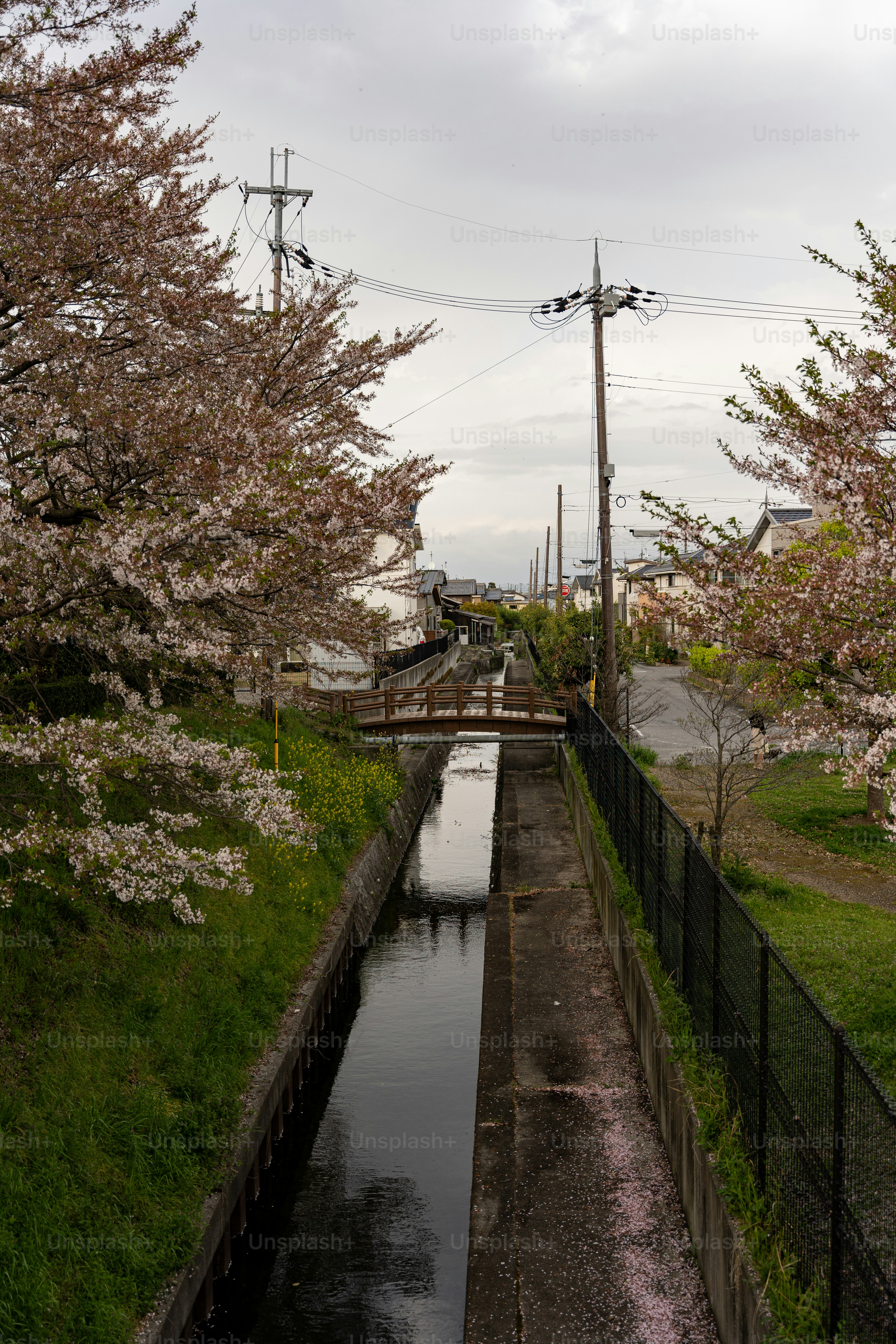 A canal running through a lush green park