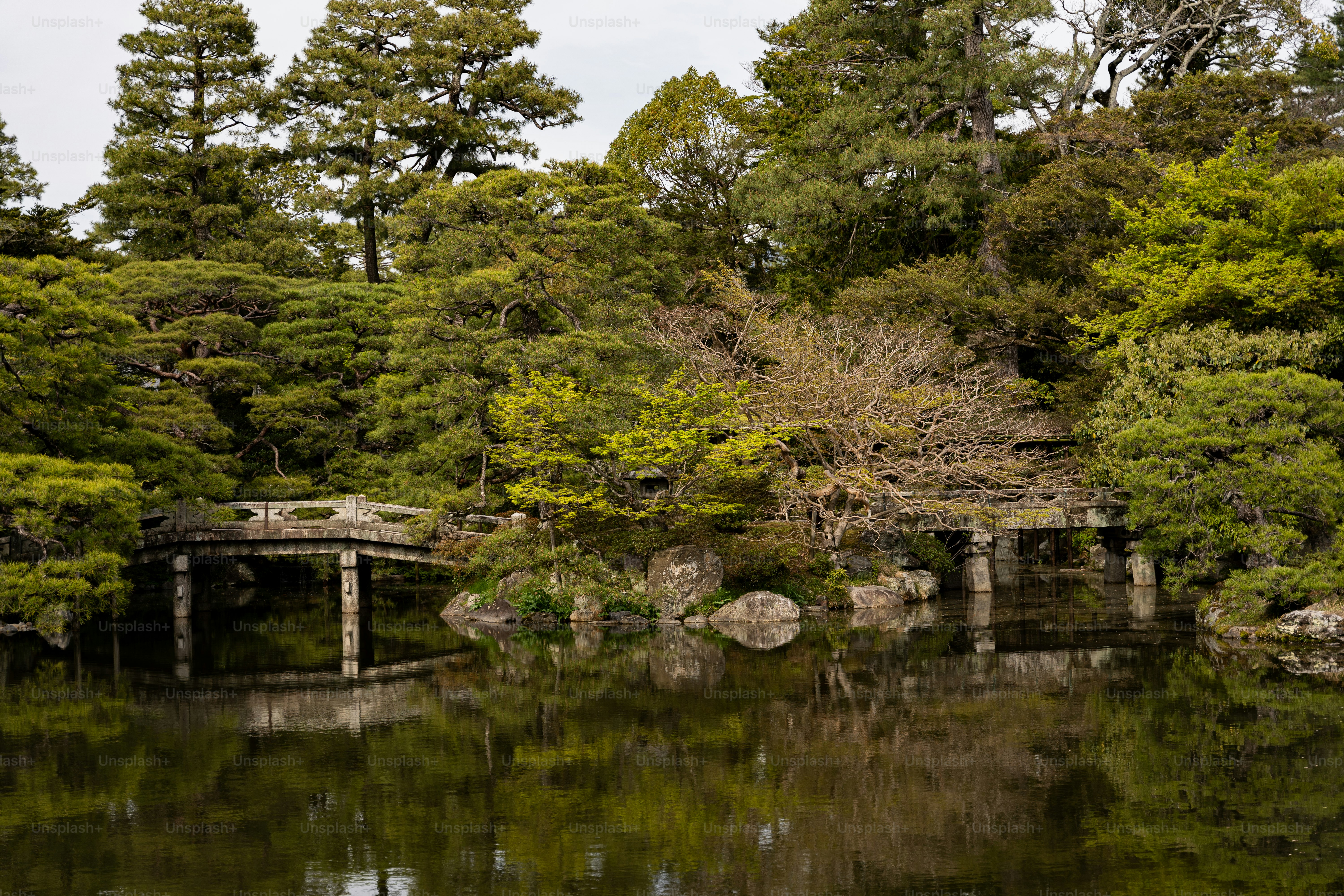 A body of water surrounded by trees and rocks