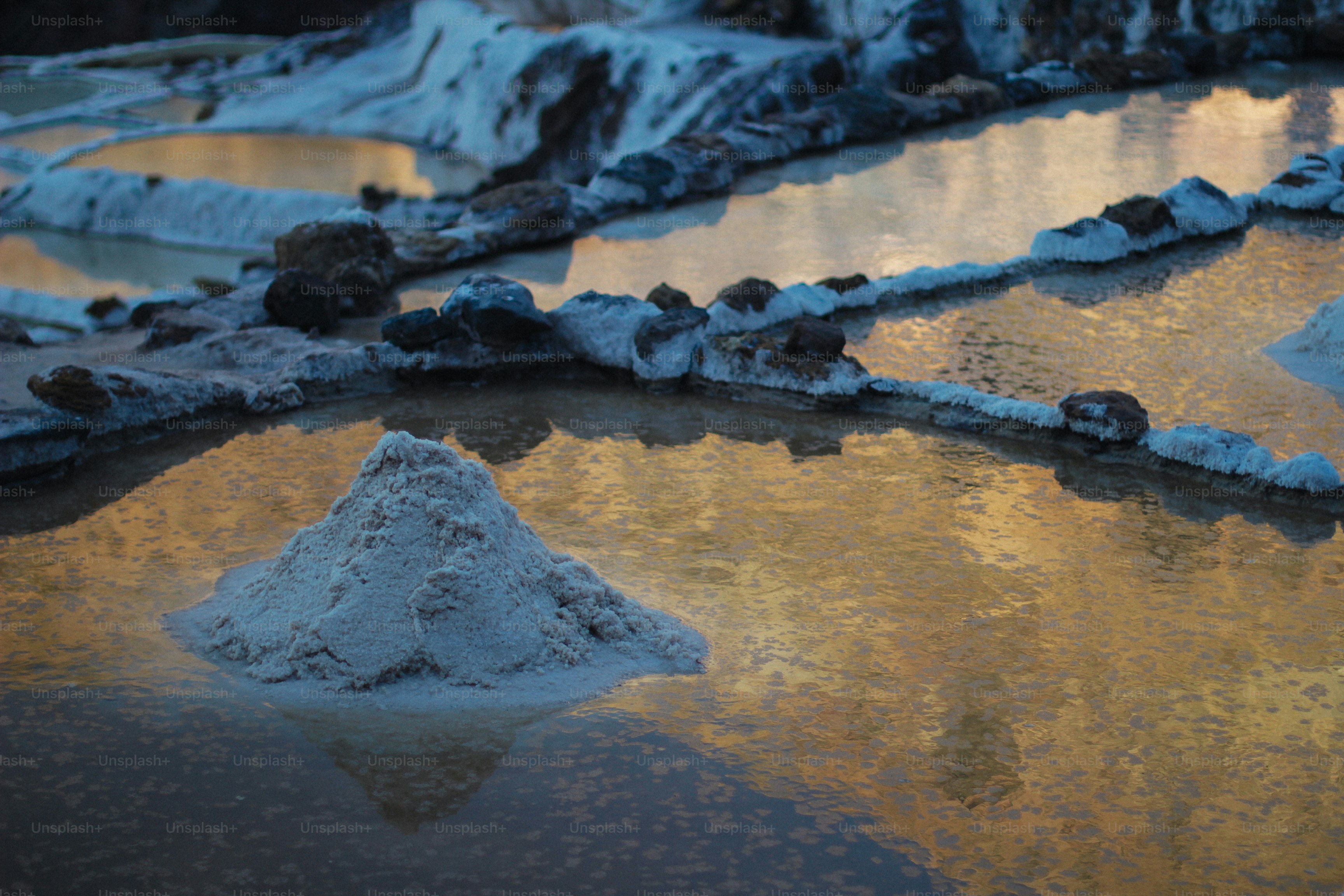 Un pájaro está parado sobre un pedazo de hielo