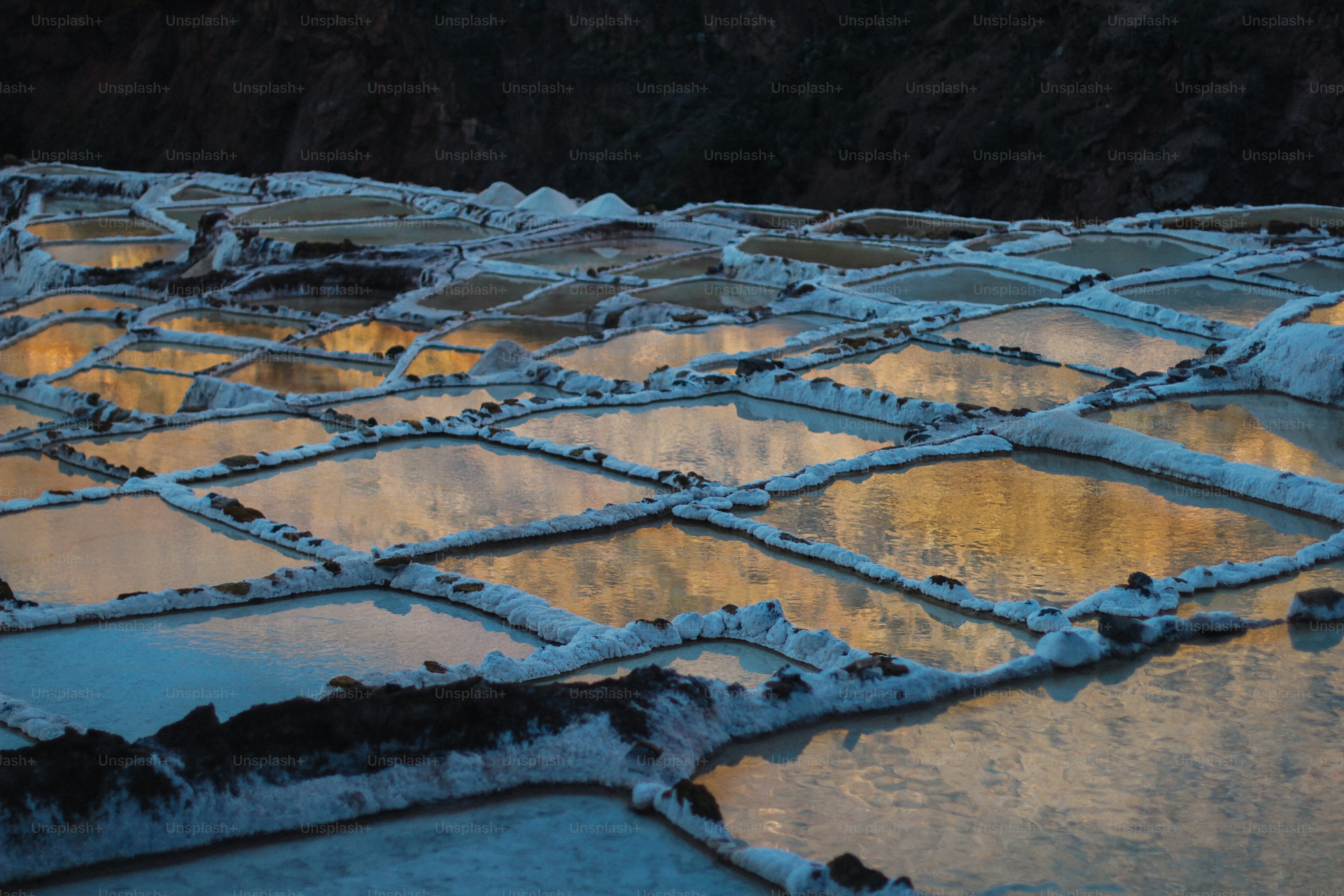 Una gran zona de terreno cubierto de nieve junto a un bosque