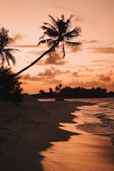Fiji