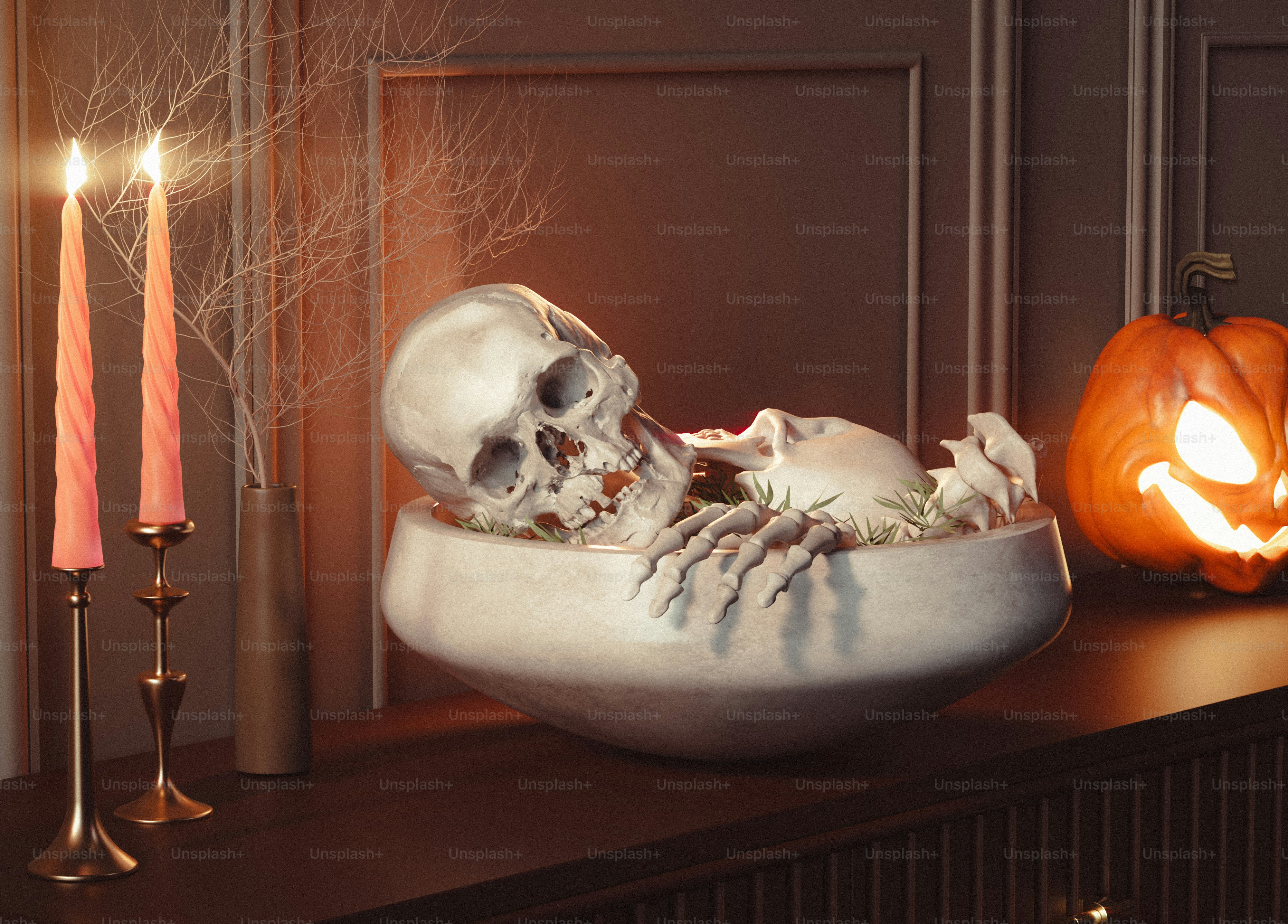 Una escena de Halloween con una calavera en un cuenco foto – Imagen de  Oscuro en Unsplash, image size:3000x2153