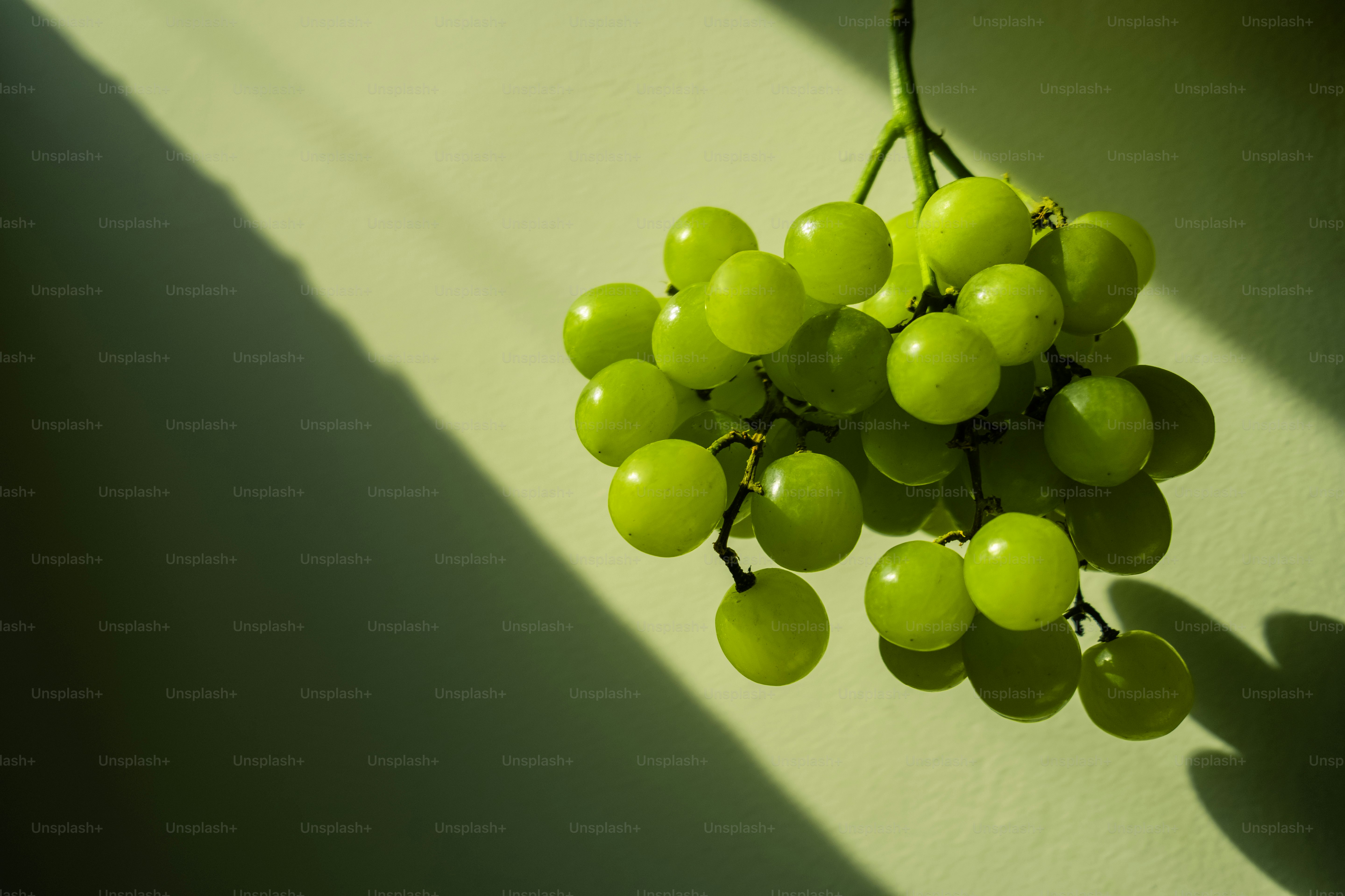 A bunch of green grapes hanging from a branch