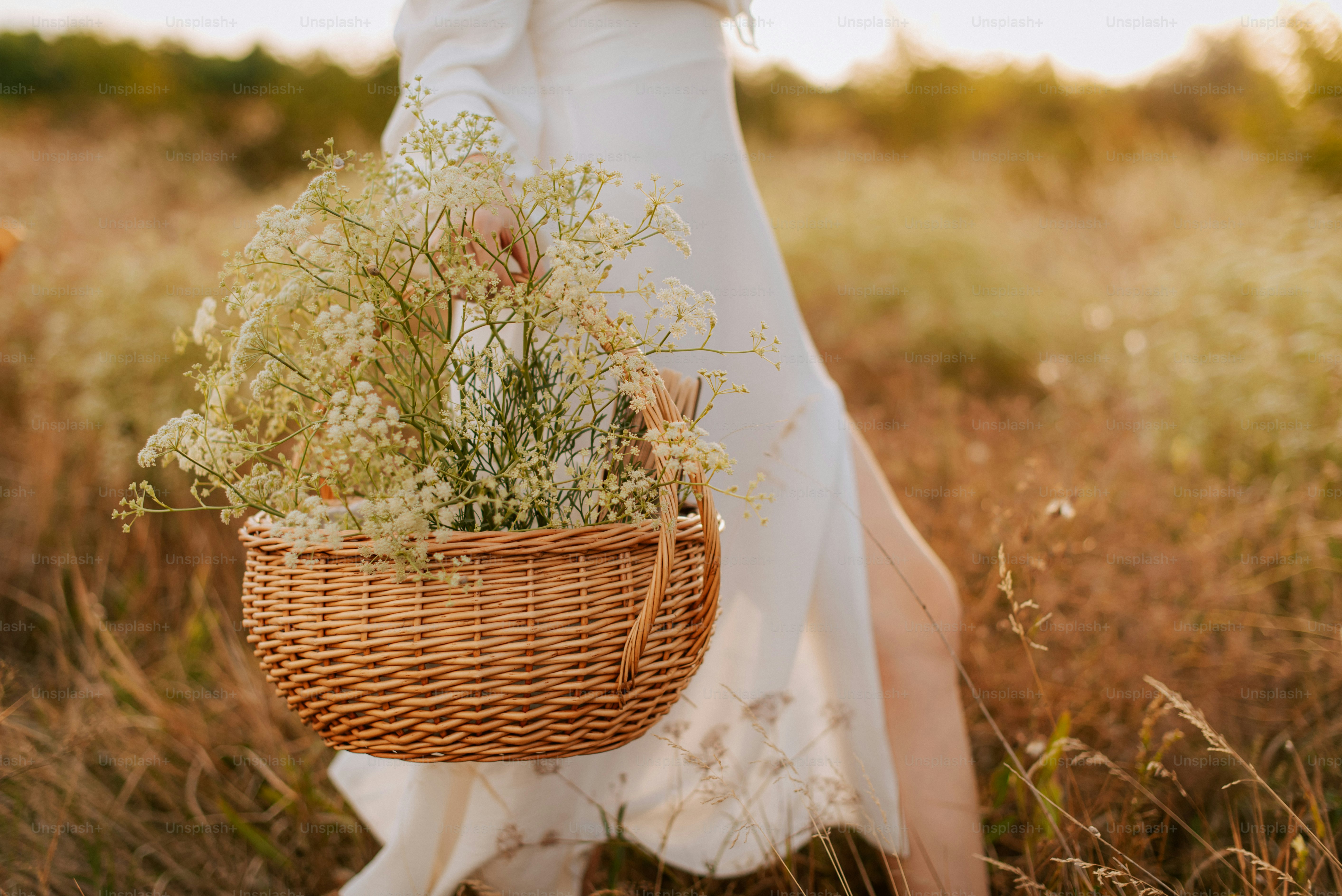A woman standing in a field of flowers photo – Simple living Image on ...