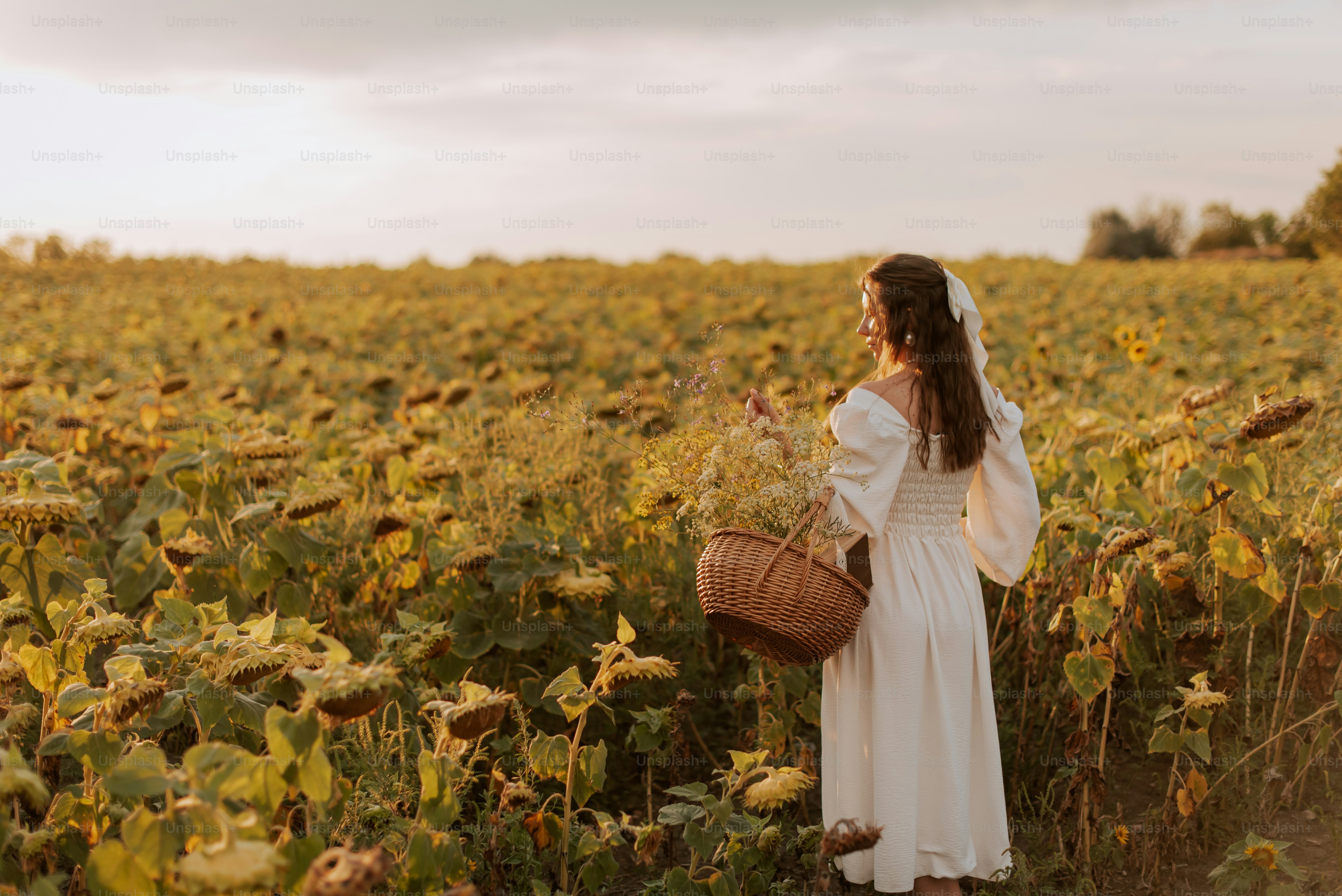 Una donna in, un vestito bianco, in piedi in un campo di girasoli