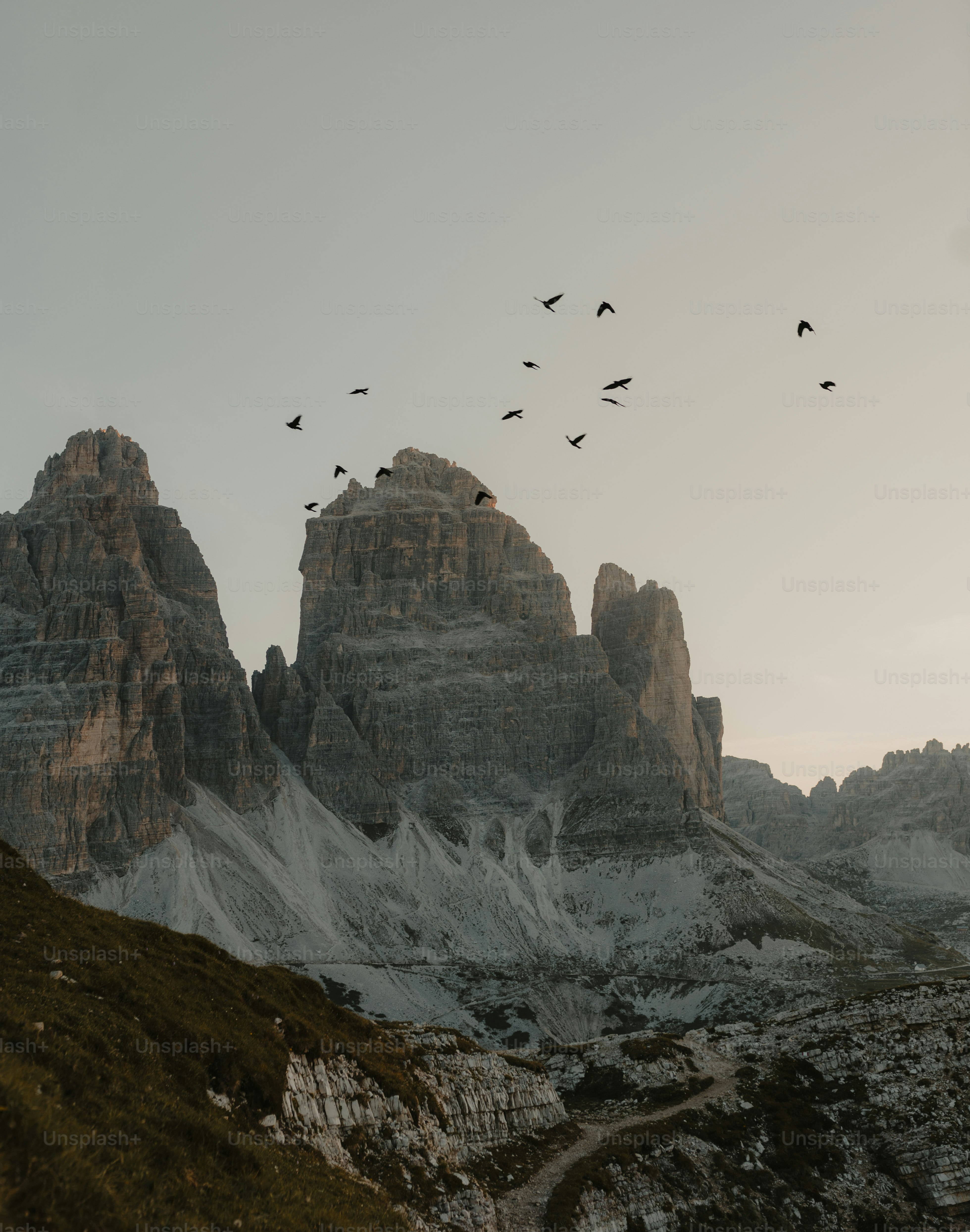 A flock of birds flying over a mountain range