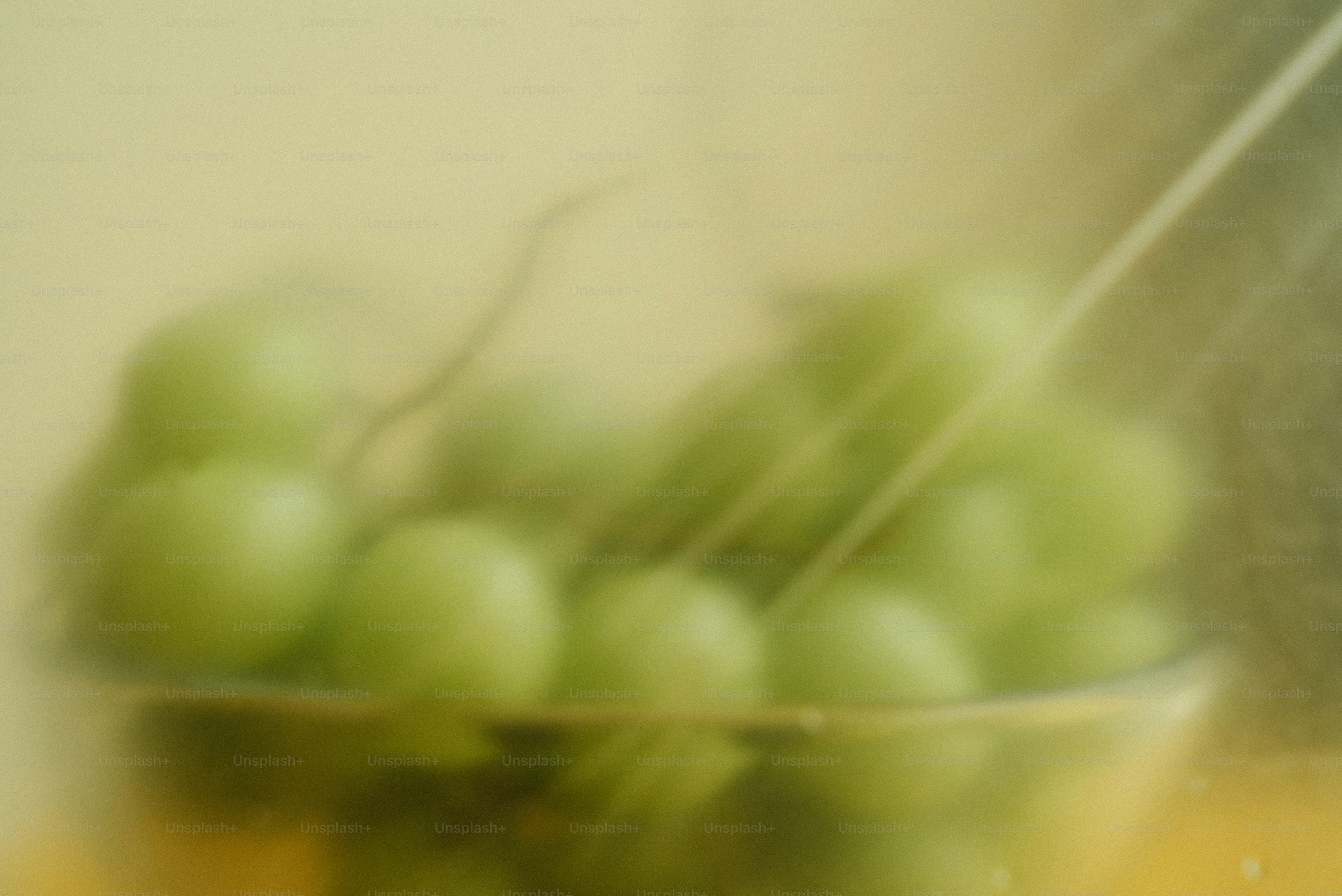 A close up of a bowl of green grapes