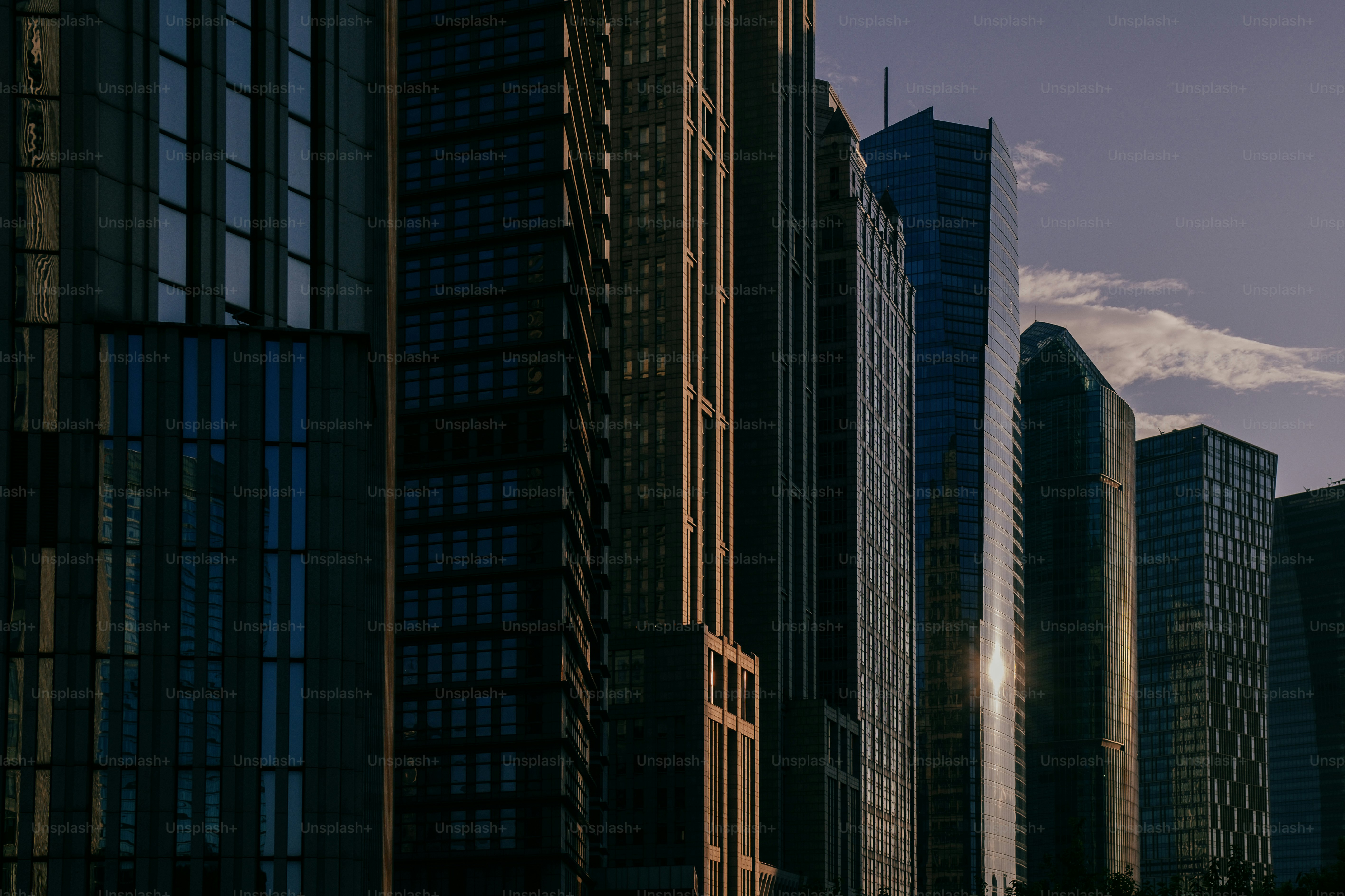 A very tall building with a lot of trees in front of it photo – Night ...