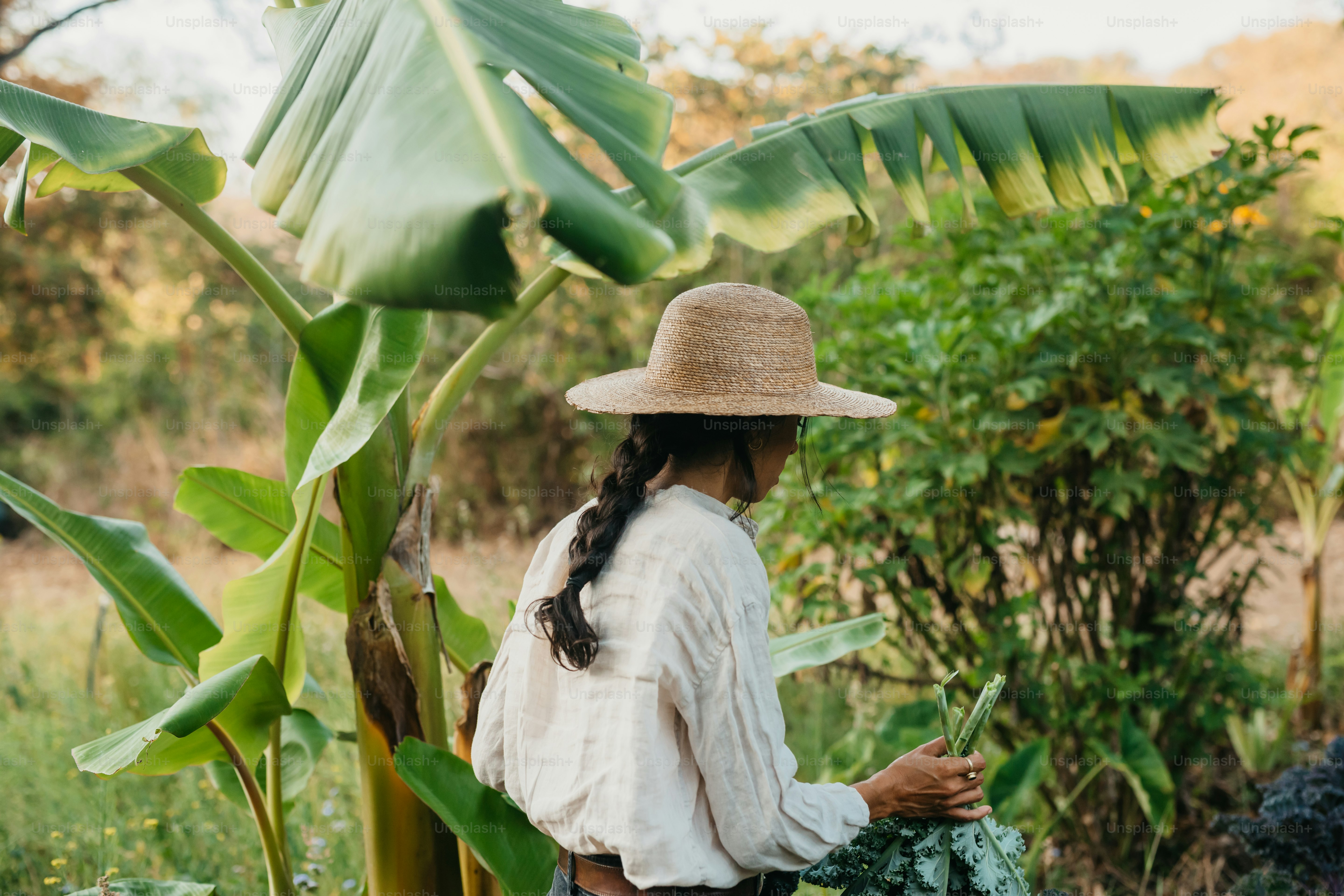 Eine Frau mit Strohhut, die neben einer Bananenstaude steht