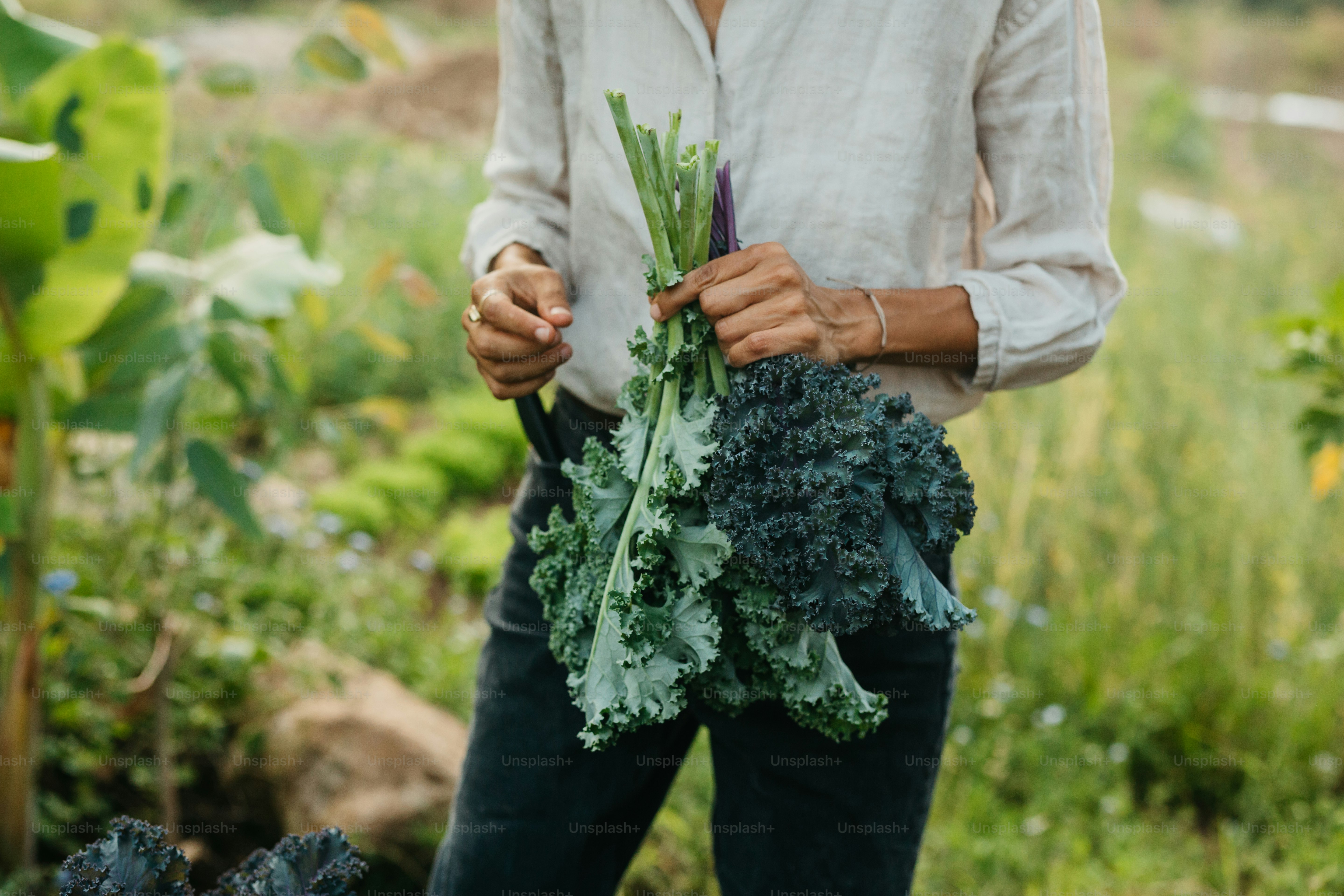 Eine Frau, die einen Bund Brokkoli in ihren Händen hält