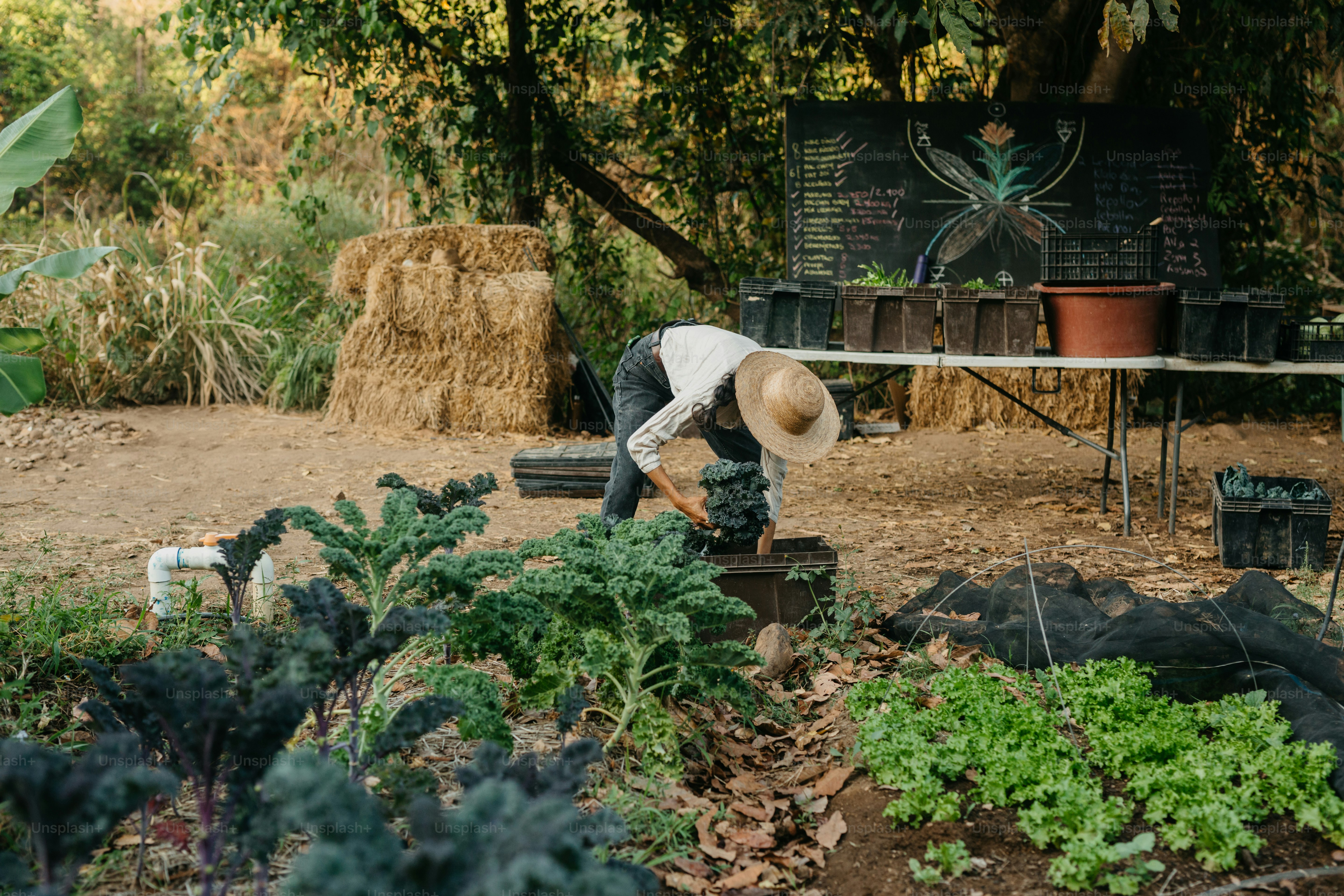 Ein Mann, der in einem Garten mit Tisch und Stühlen arbeitet