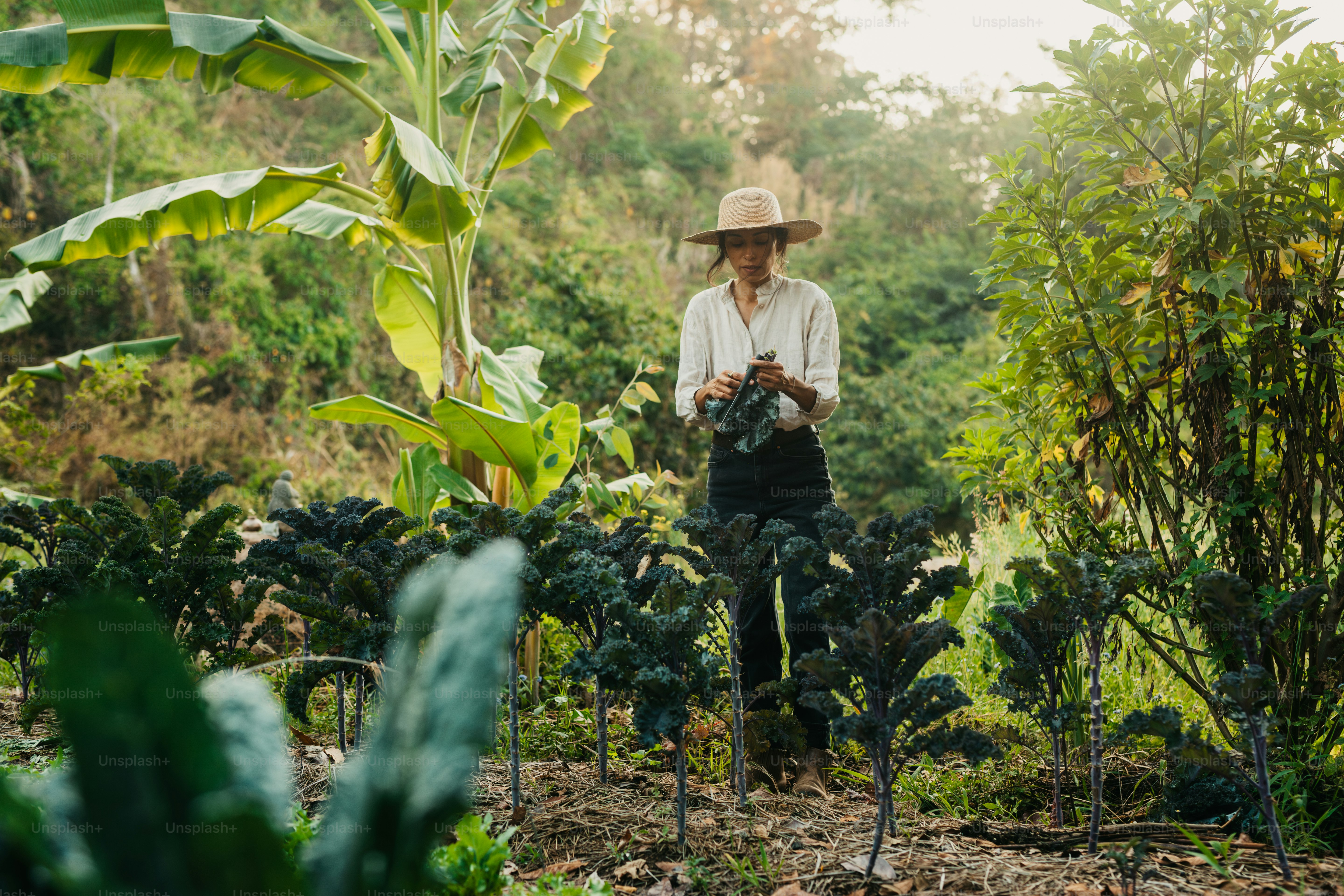 Ein Mann, der mitten in einem Garten steht