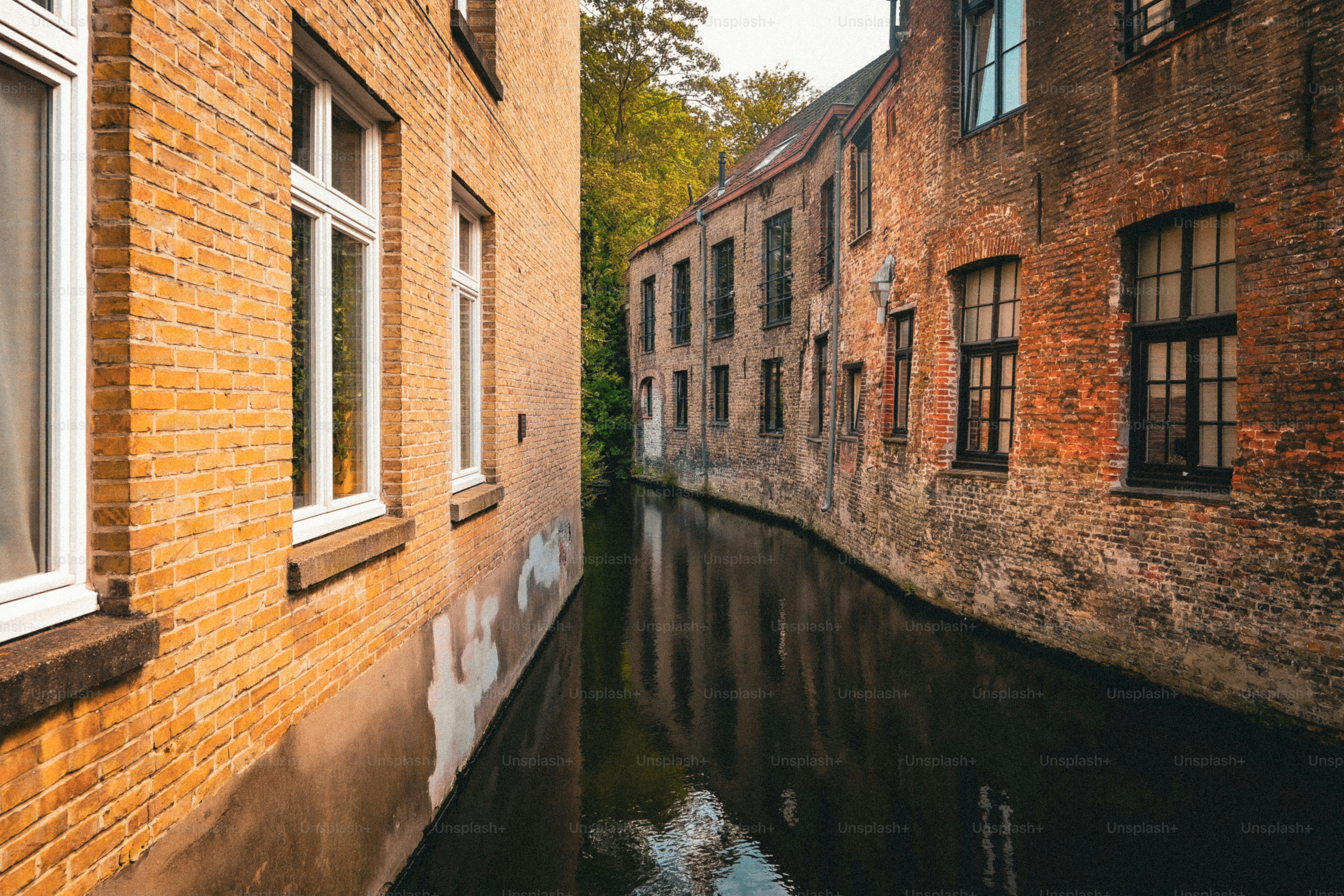 2つのレンガ造りの建物の間を走る細い運河