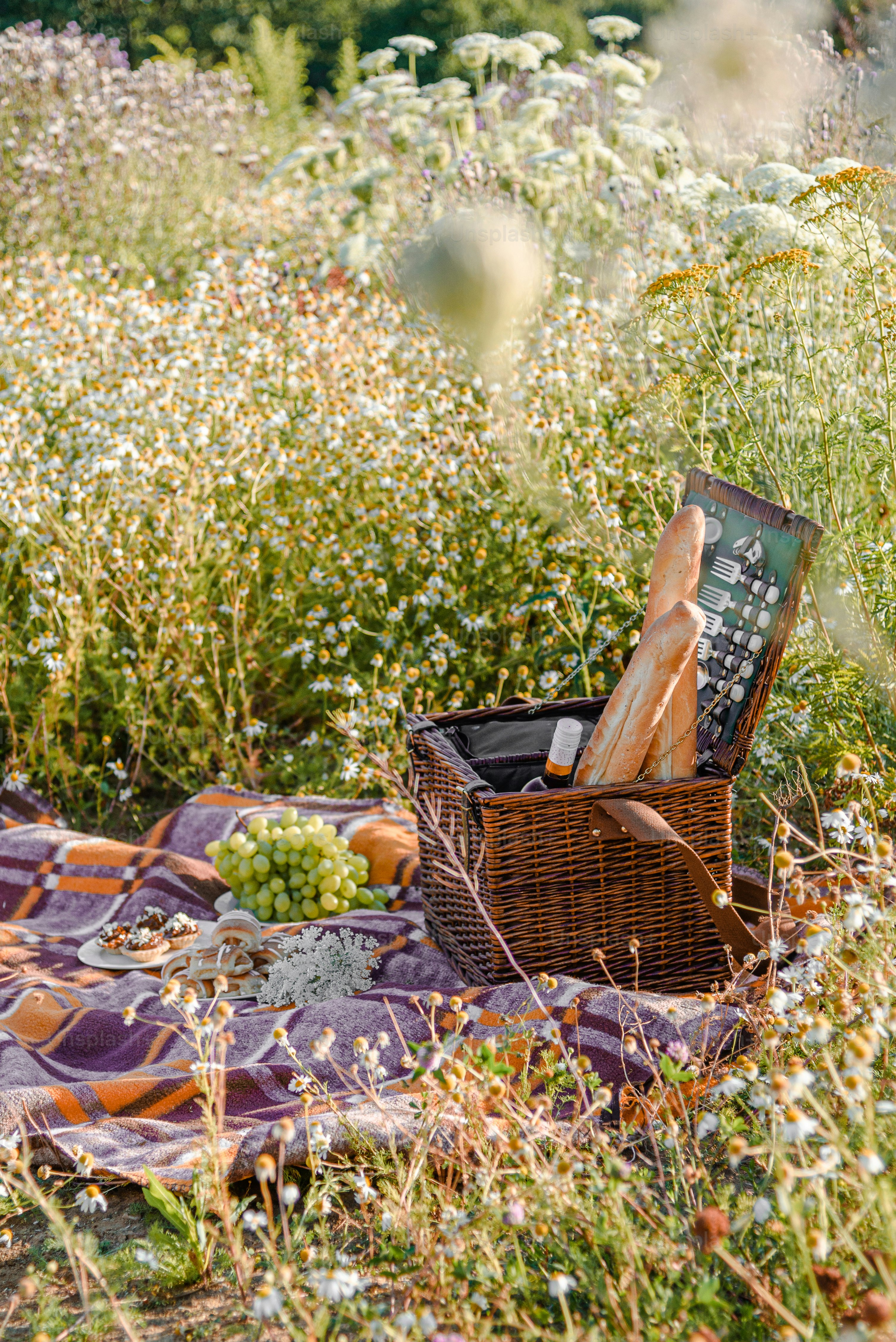 A picnic blanket with a basket of bread on it
