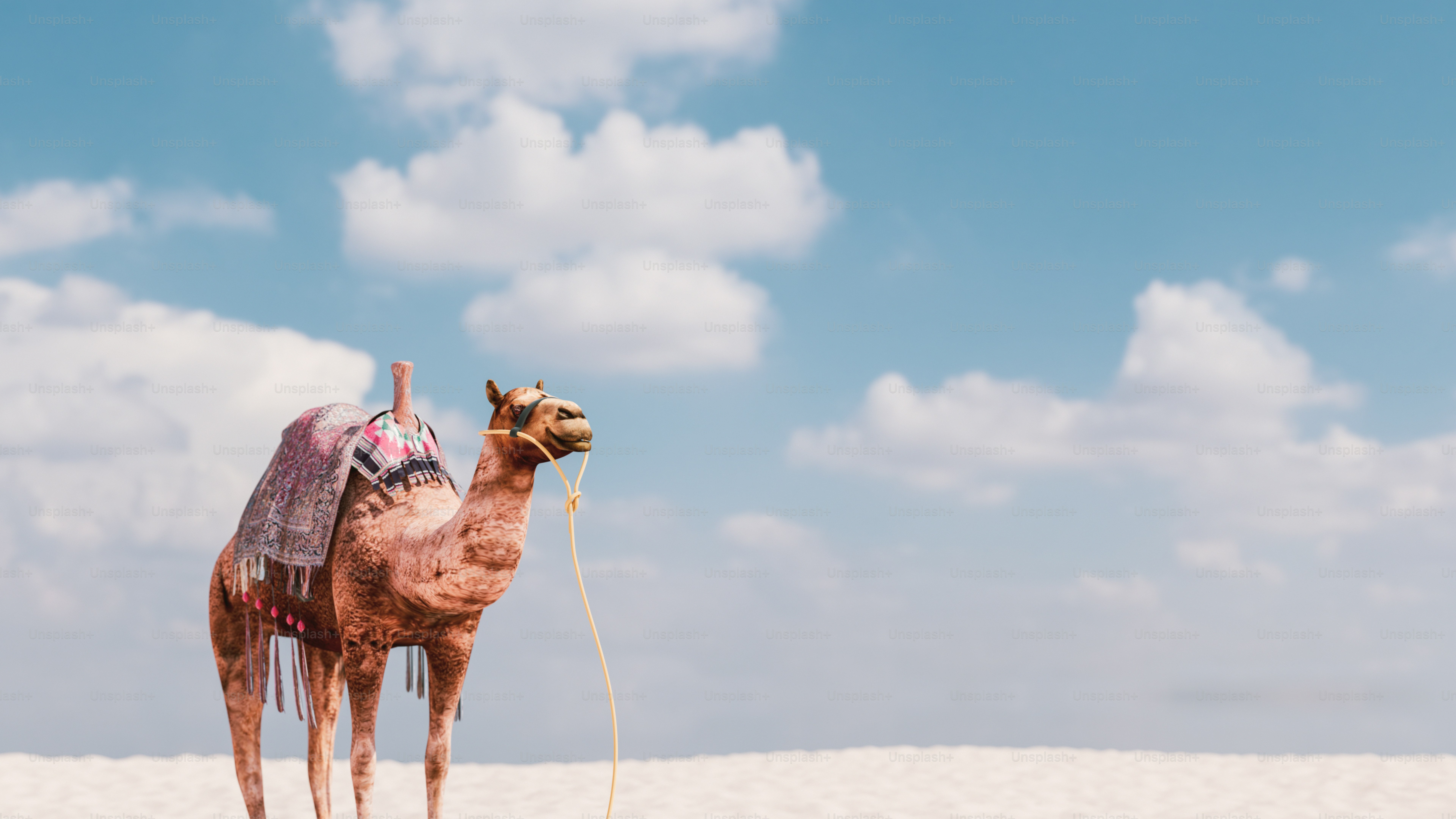 Un camello de pie en la arena con un fondo de cielo