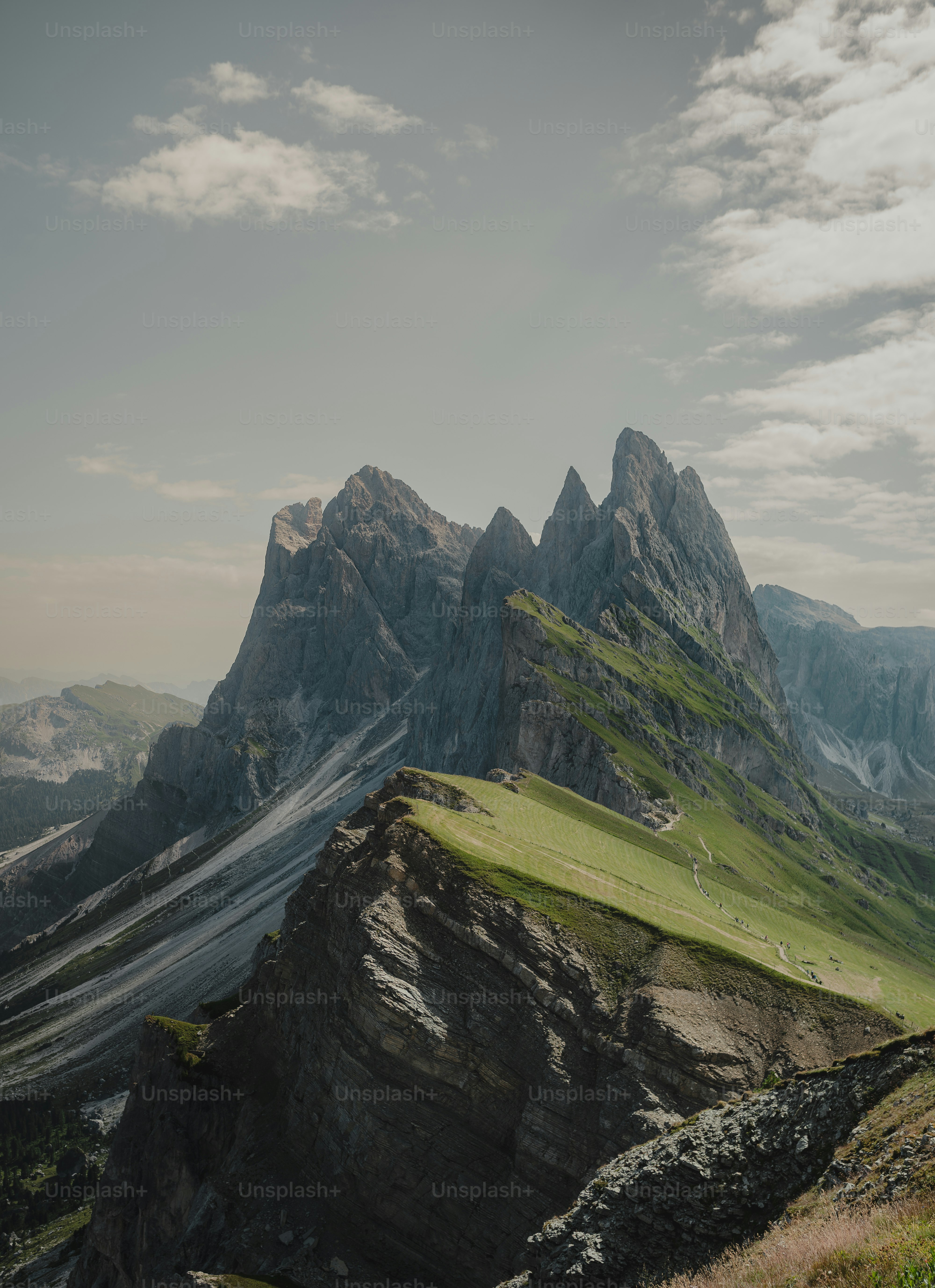 Ein Mann, der auf einem üppig grünen Hügel steht