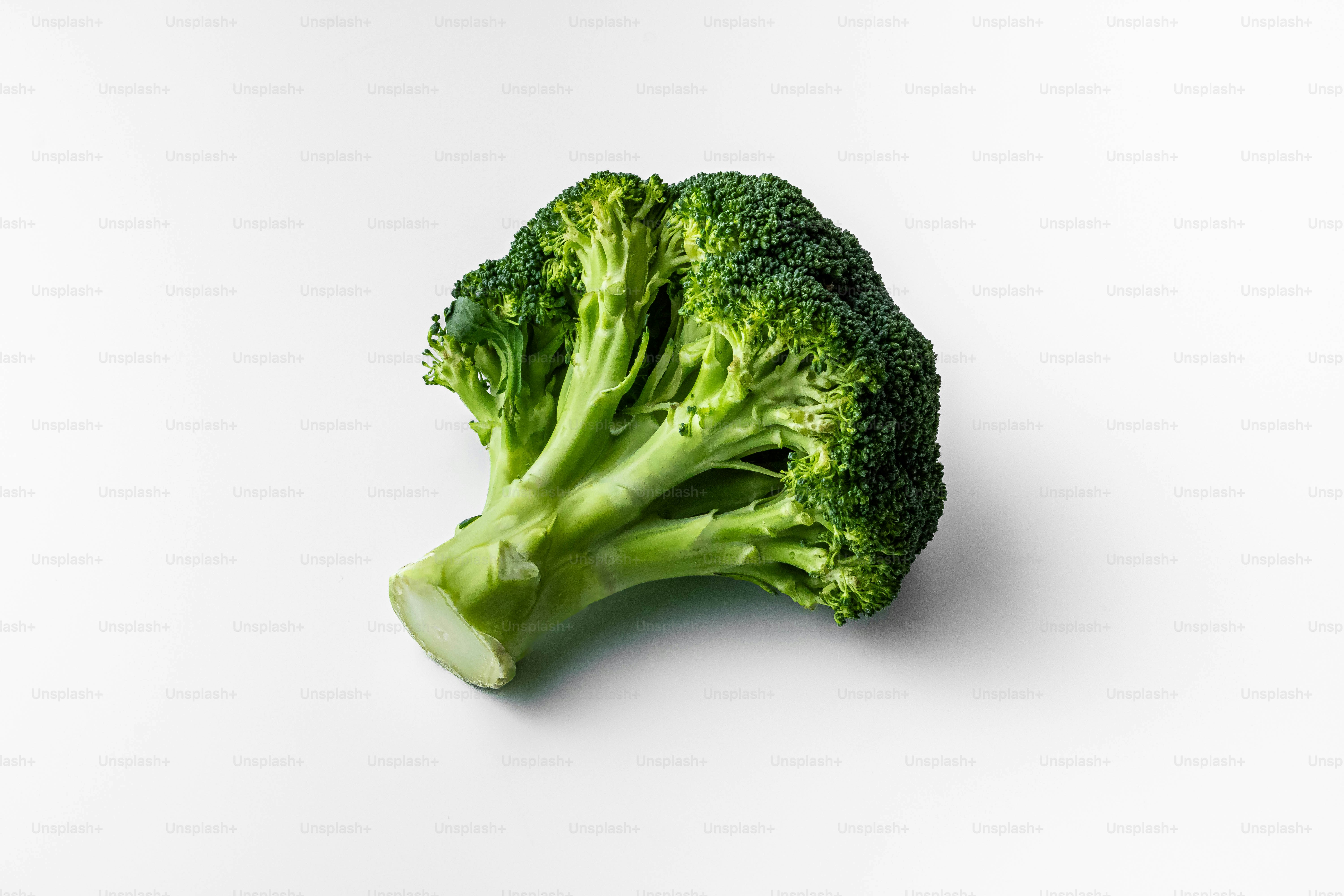 A piece of broccoli on a white background