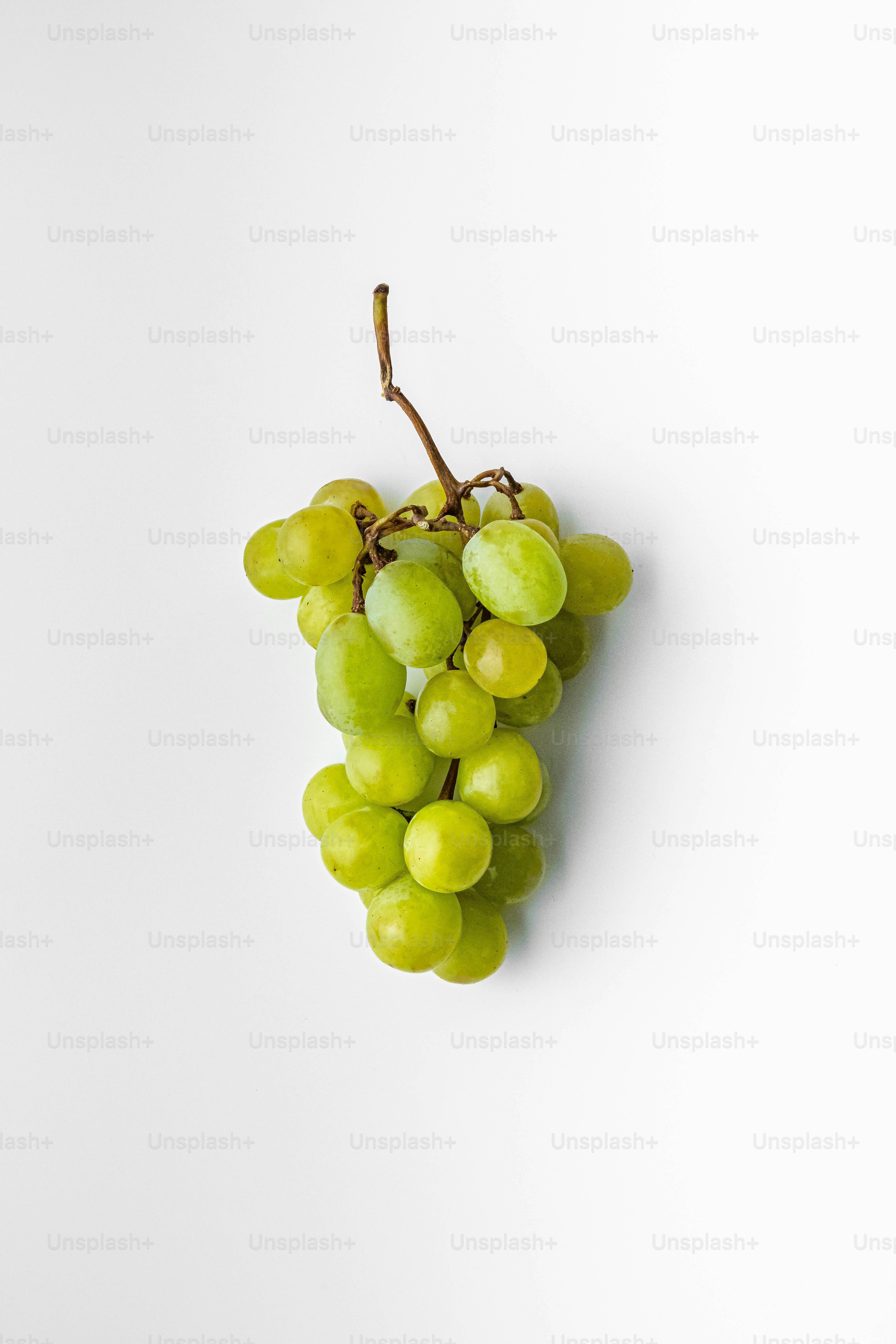 A bunch of green grapes hanging on a white wall