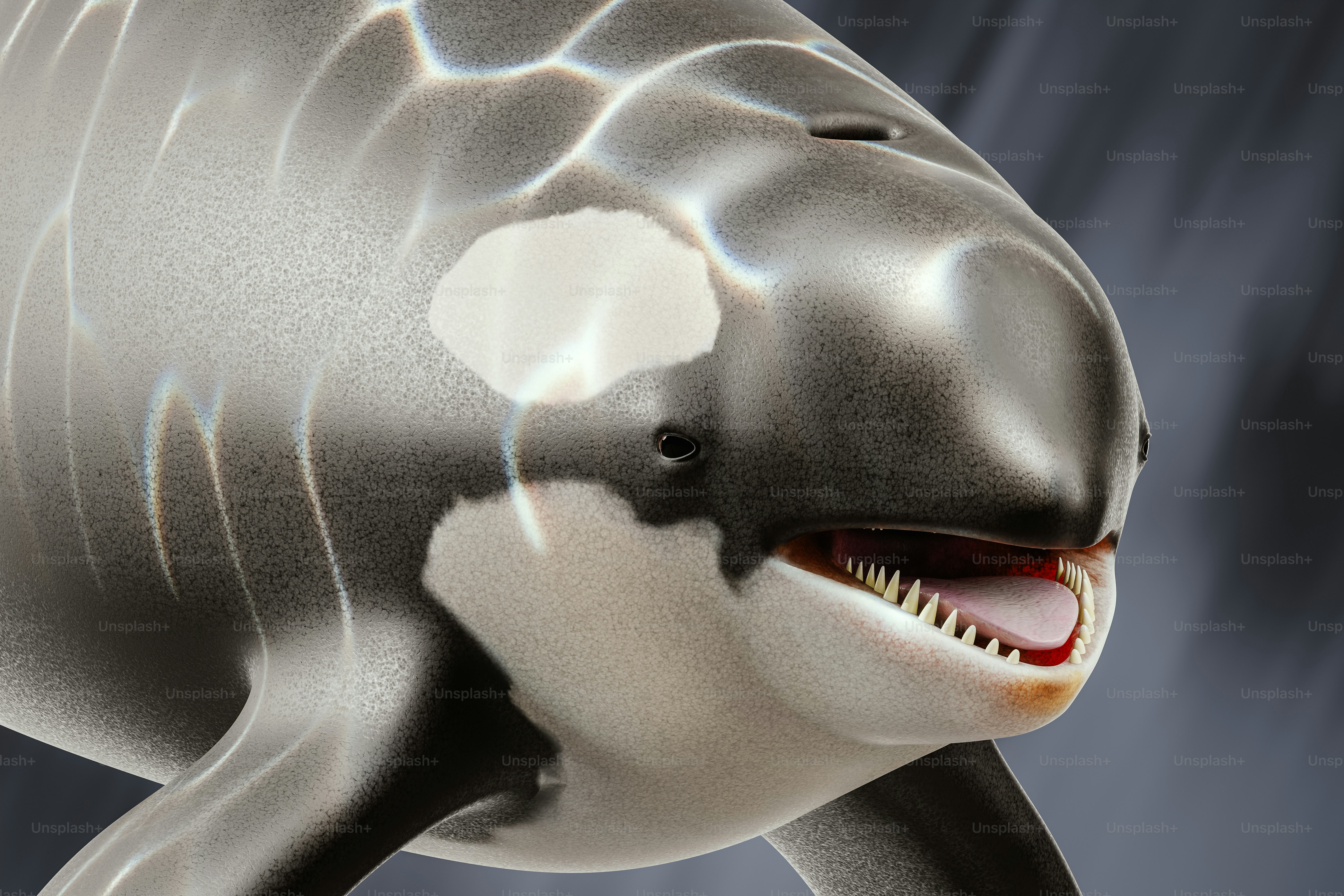 Detailed portrait of the realistic orca. 3D render.