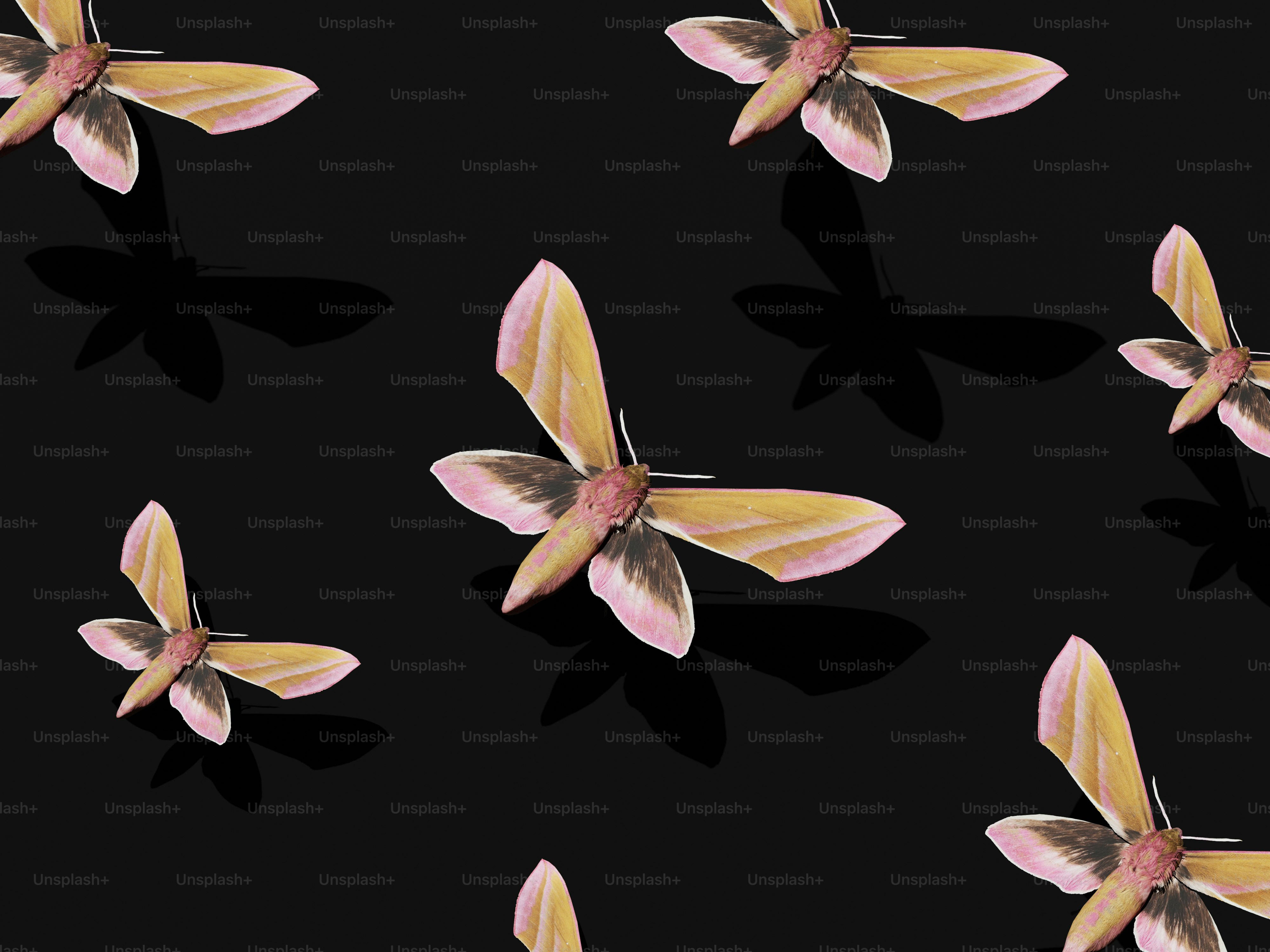 Un mazzo di fiori che si trovano su una superficie nera