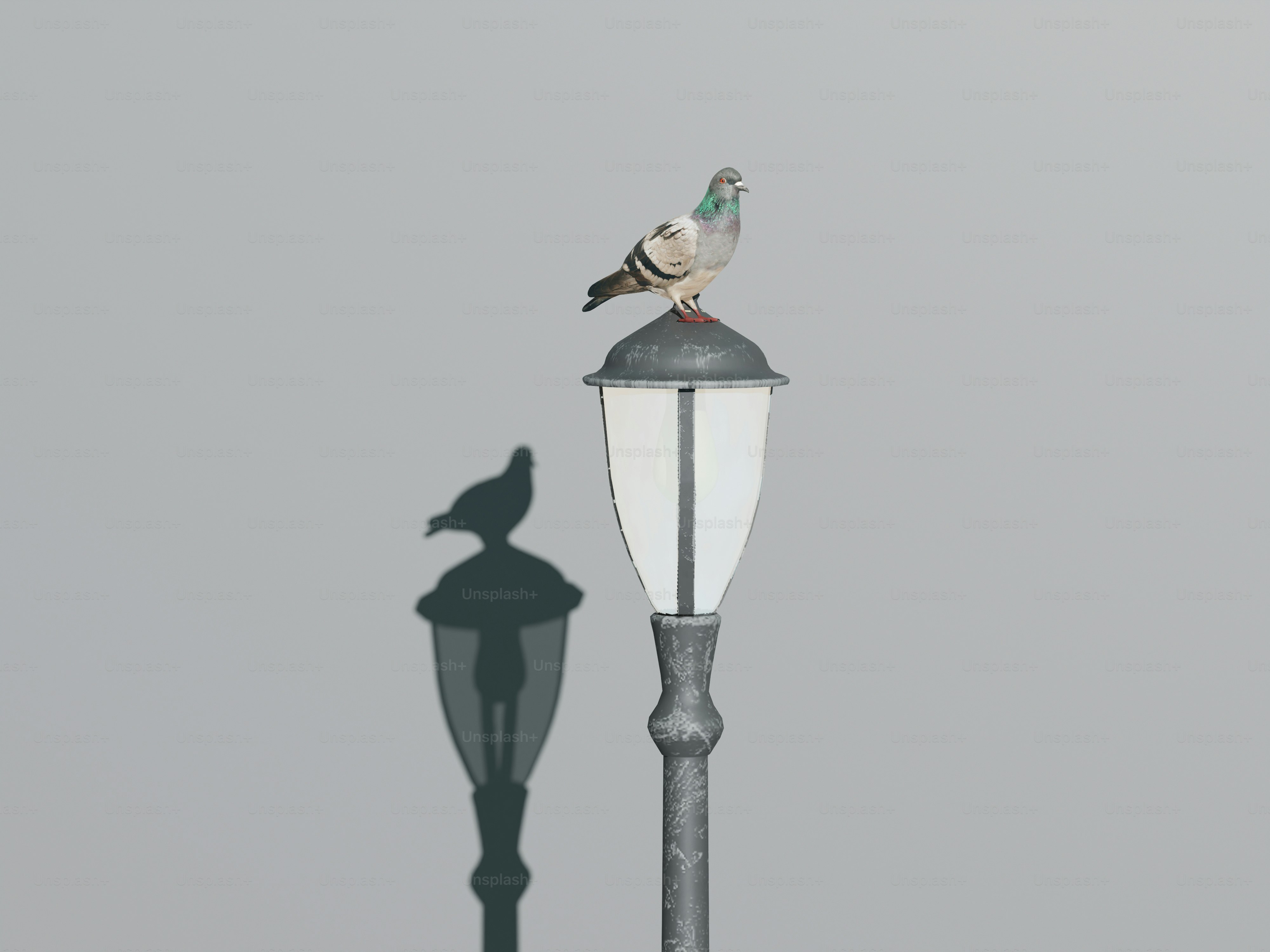 A bird sitting on top of a lamp post
