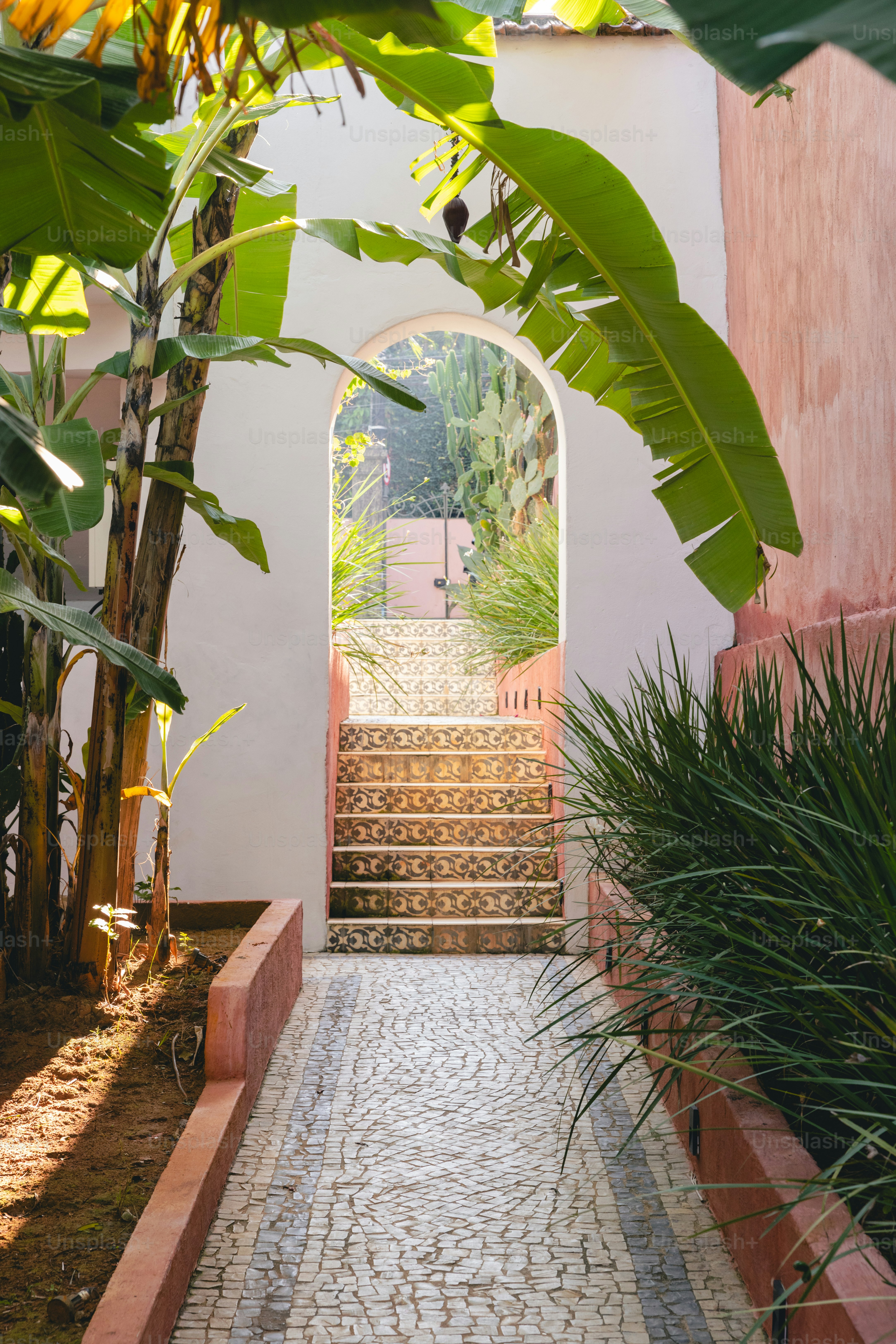 A walkway leading to a building with a stone walkway