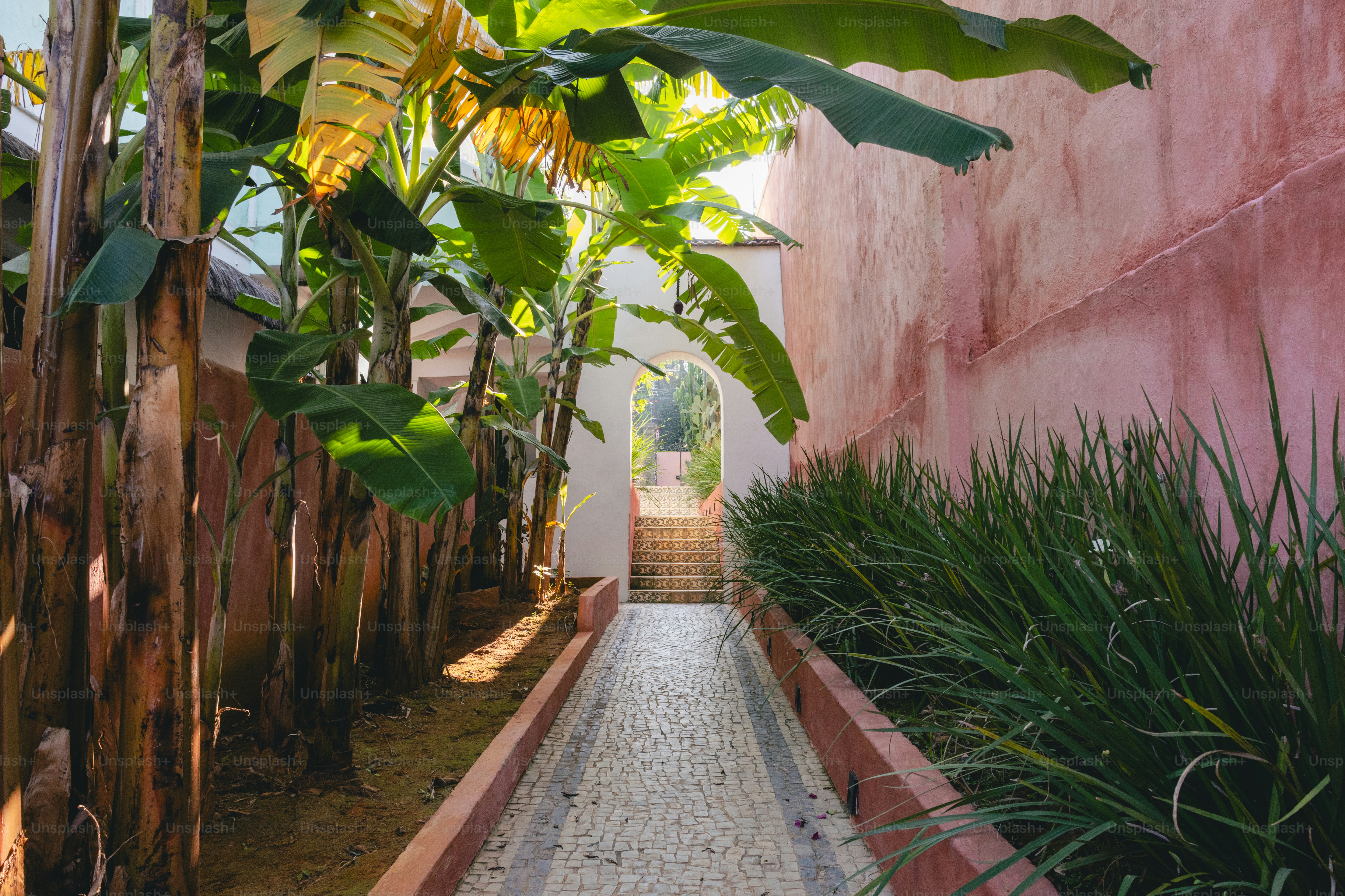 A long narrow walkway between two buildings