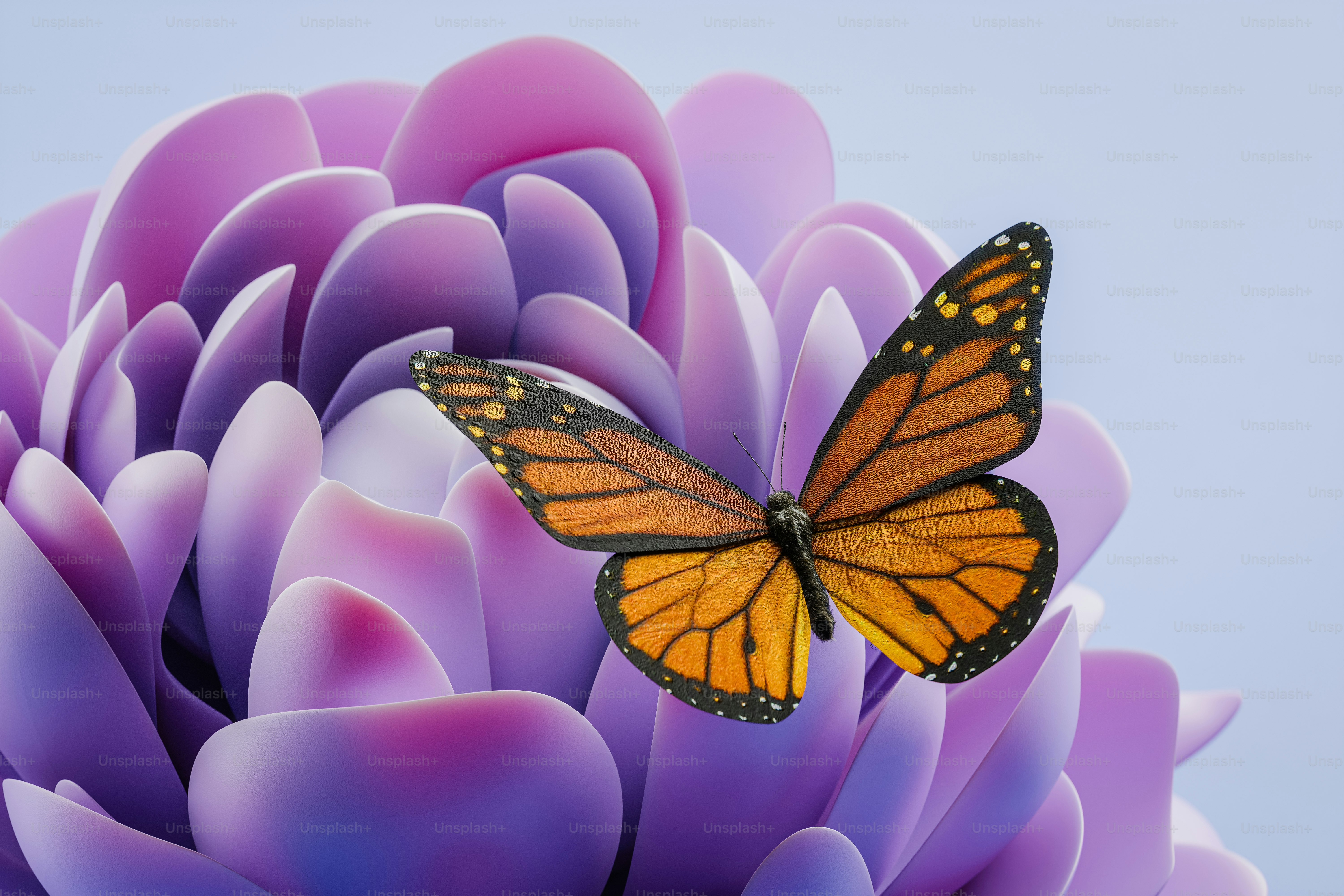 Butterfly Wallpapers: Free HD Download [500+ HQ]