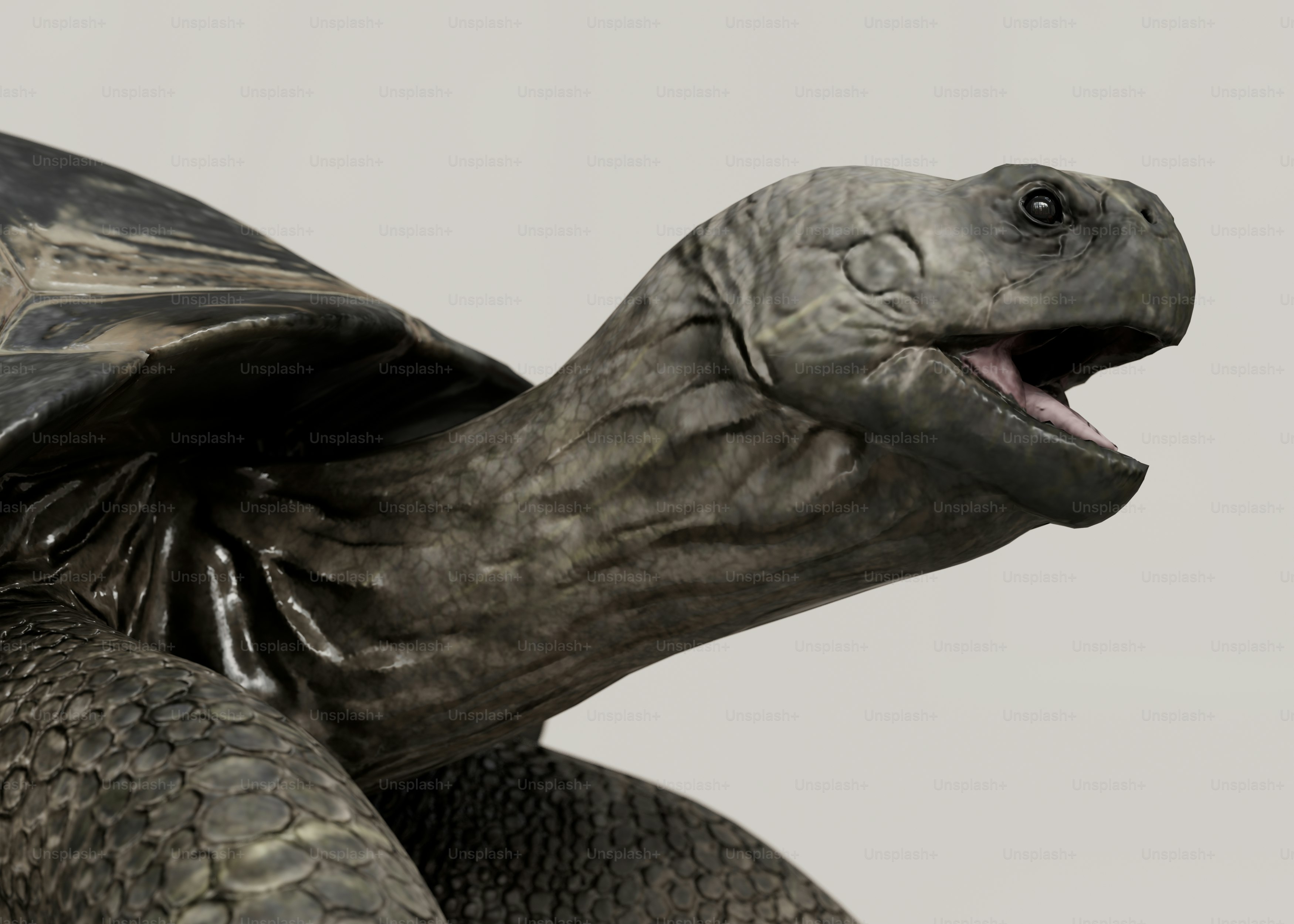 Un primer plano de una tortuga con la boca abierta