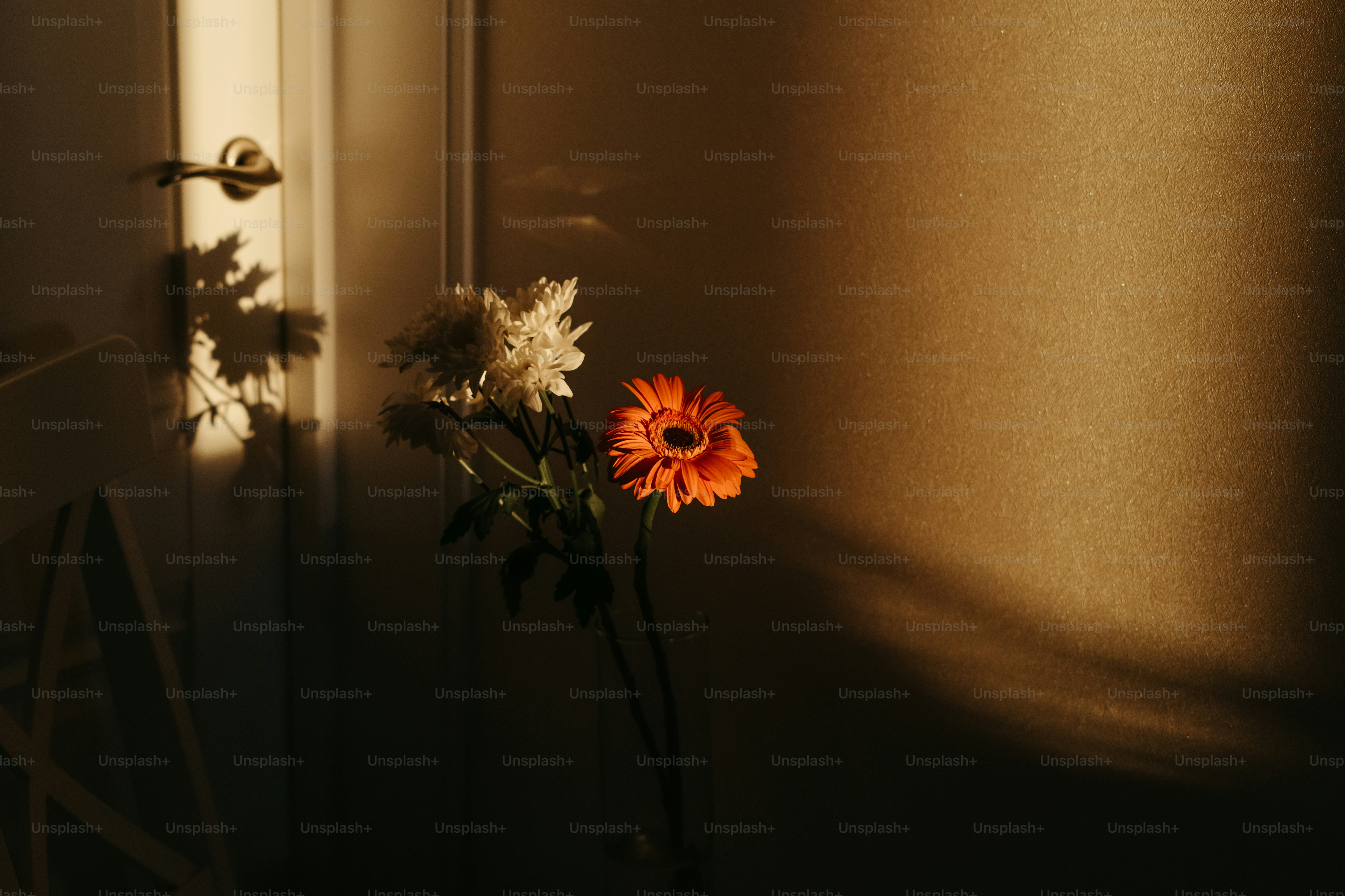 premium_photo-1724412015481-7f869a7642cc?ixid=M3wxMjA3fDB8MXxzZWFyY2h8NXx8JUUwJUI4JTk0JUUwJUI4JUFEJUUwJUI4JTgxJUUwJUI5JTg0JUUwJUI4JUExJUUwJUI5JTg5JUUwJUI5JTgxJUUwJUI4JTk3JUUwJUI4JTk5JUUwJUI4JTg0JUUwJUI4JUE3JUUwJUI4JUIyJUUwJUI4JUExJUUwJUI5JTgwJUUwJUI4JUE4JUUwJUI4JUEzJUUwJUI5JTg5JUUwJUI4JUIyfGVufDB8fHx8MTczMTQzMjcxOHww\u0026ixlib=rb-4.0.3