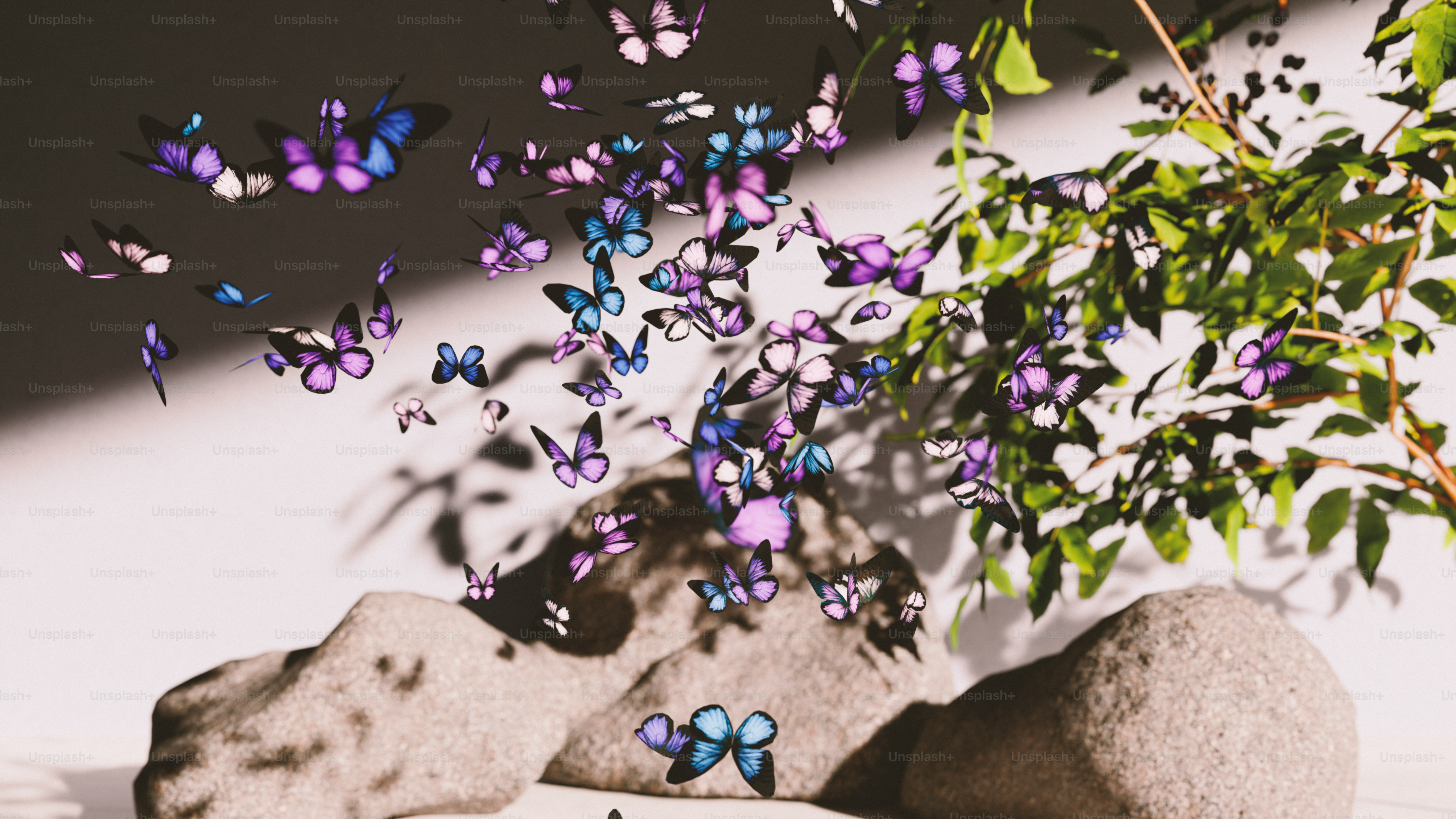 Uma rocha e uma árvore com borboletas roxas sobre ele