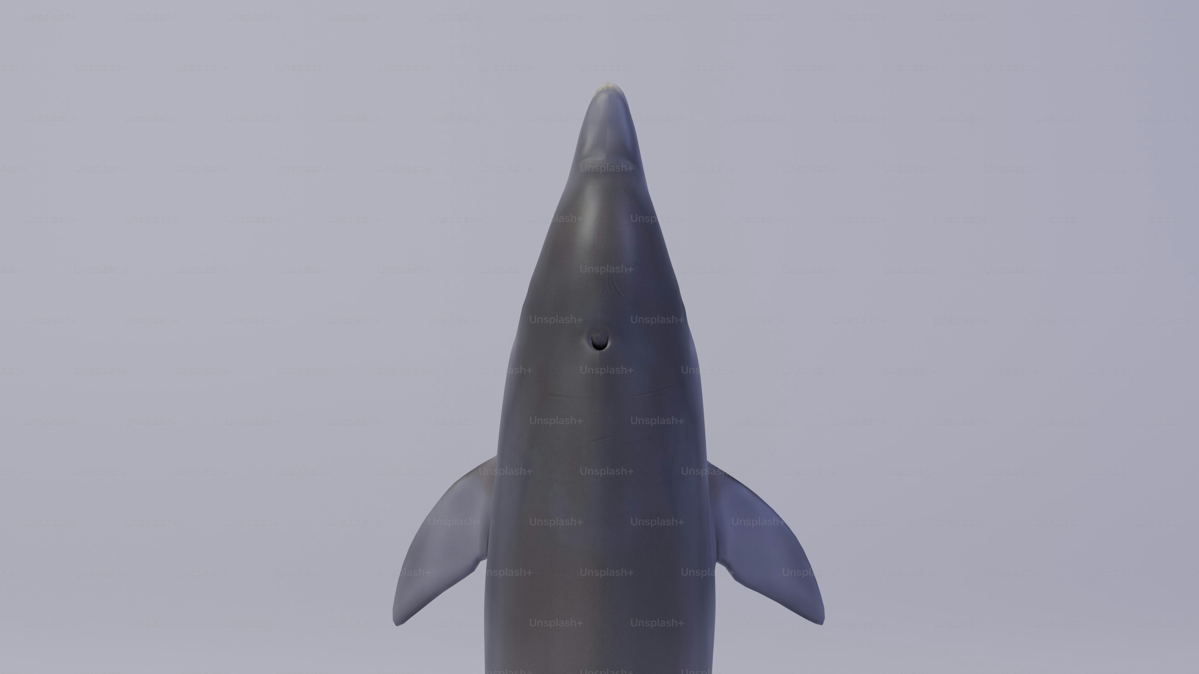 A toy shark is standing in the water