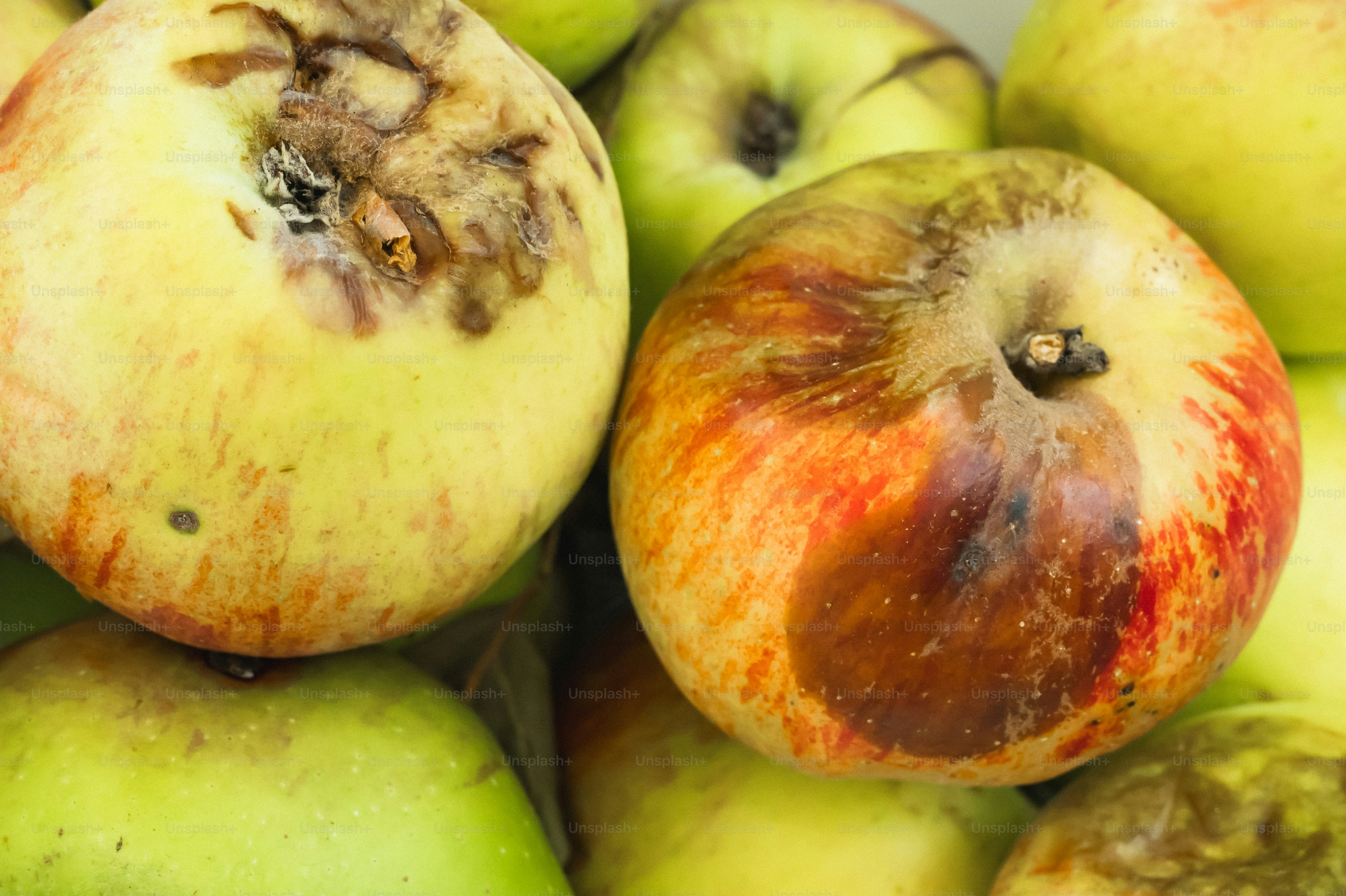 A pile of green and red apples sitting on top of each other